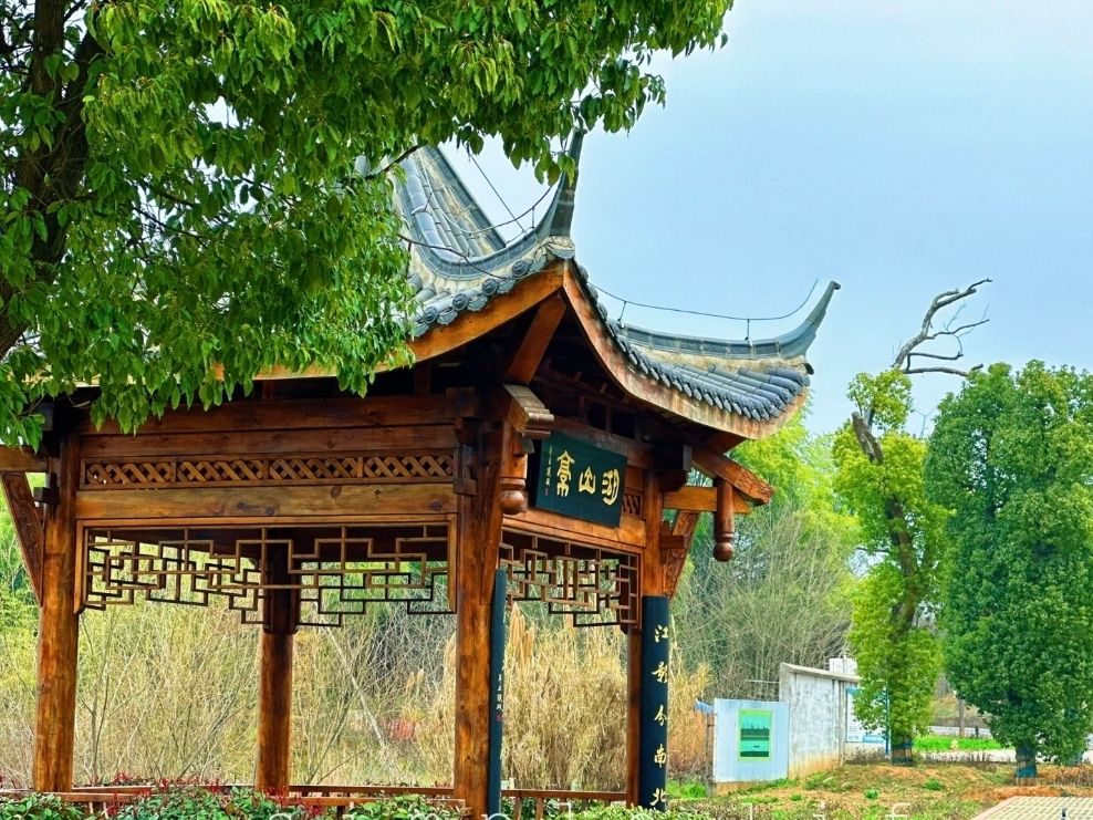 吕梁杏花村旅行图片 2
