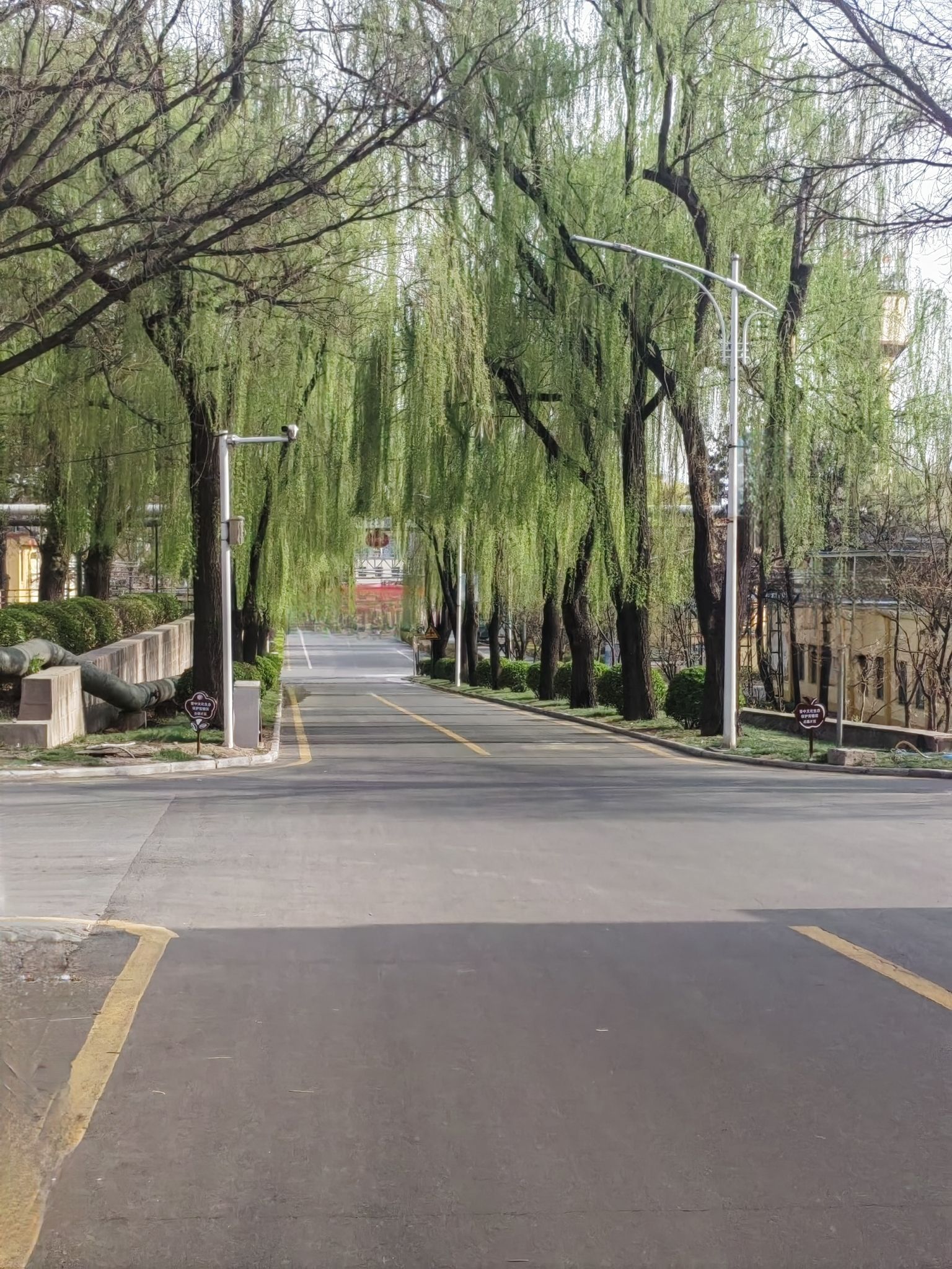 吕梁杏花村旅行图片 3