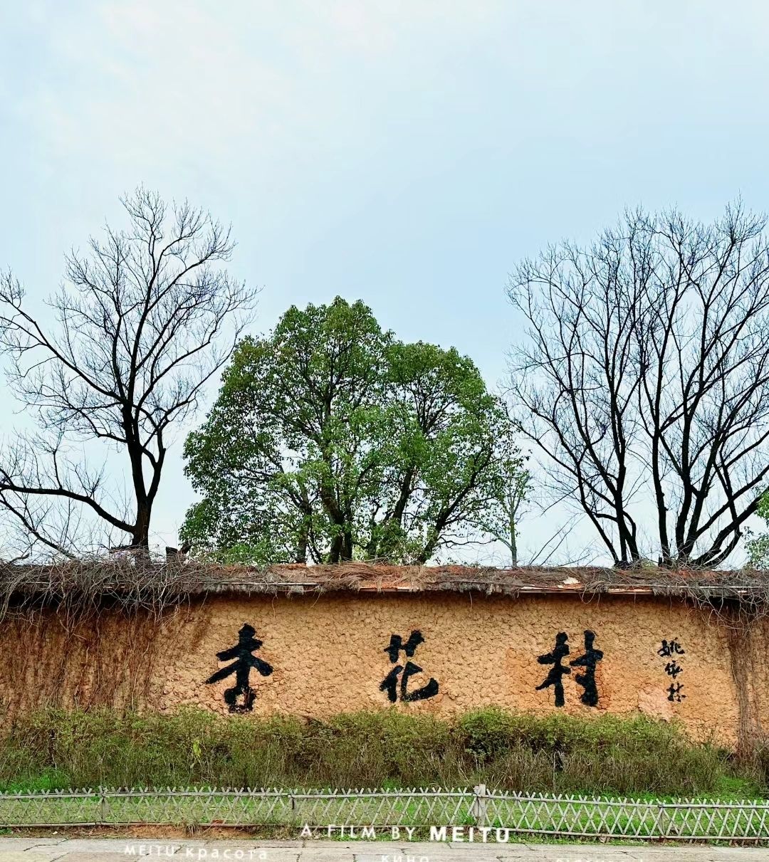 吕梁杏花村旅行图片 1