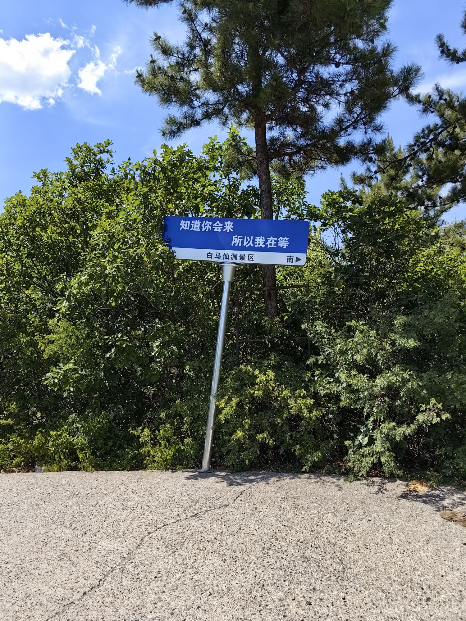 白马仙洞旅行图片 3