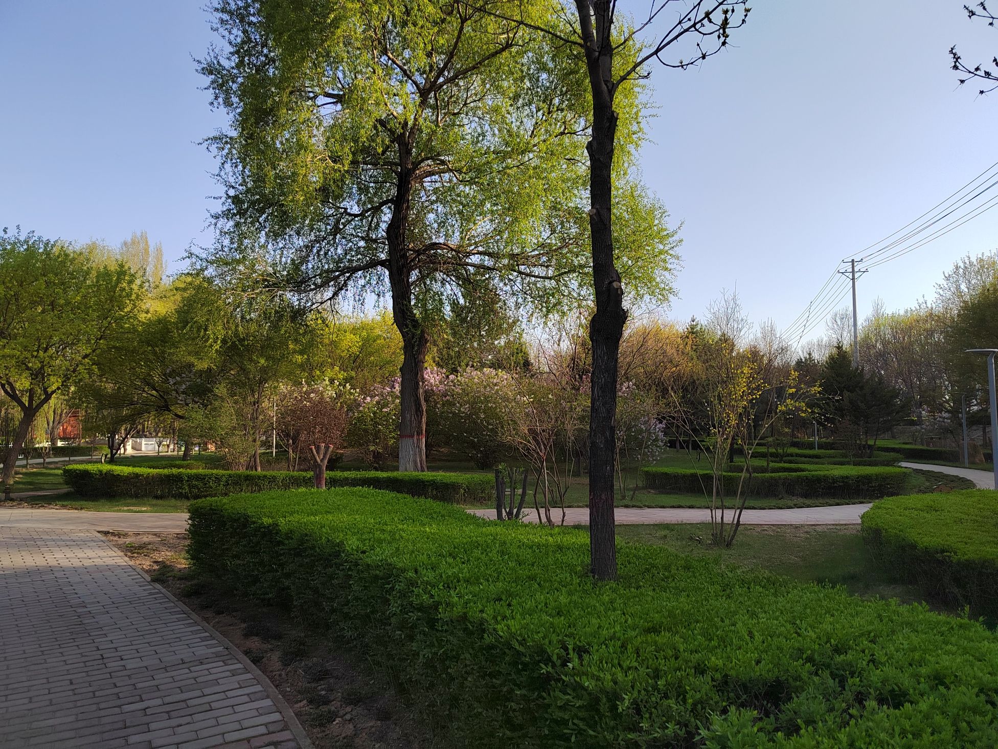 东河公园旅行图片 3