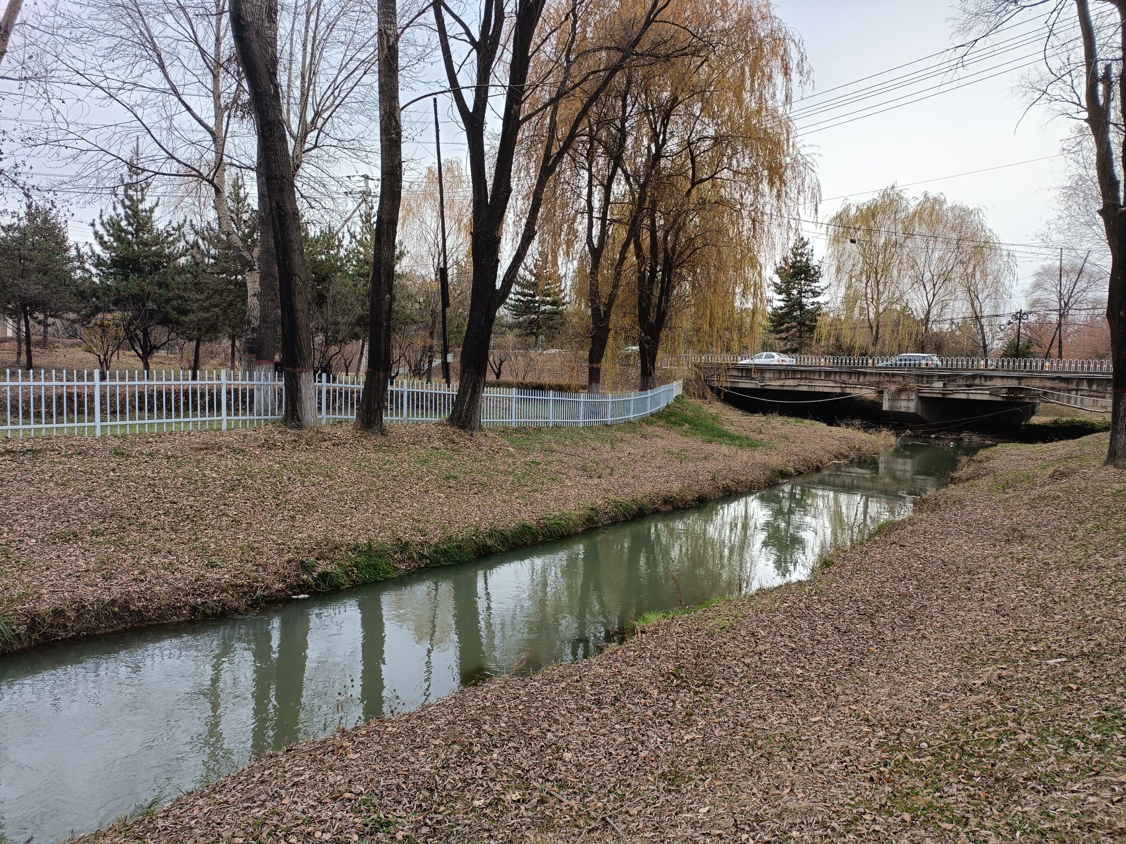 东河公园旅行图片 3