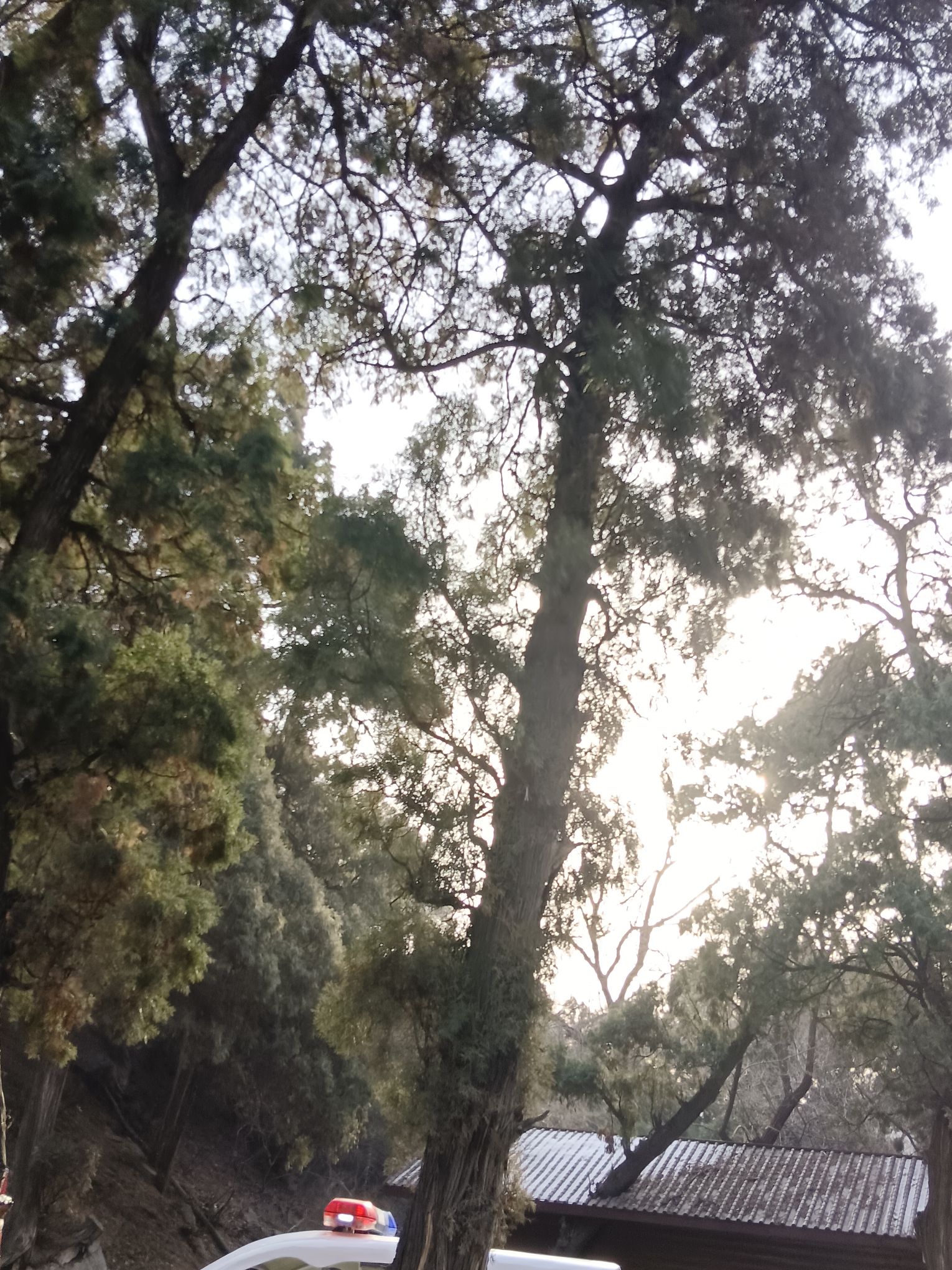 交城卦山景区旅行图片 1