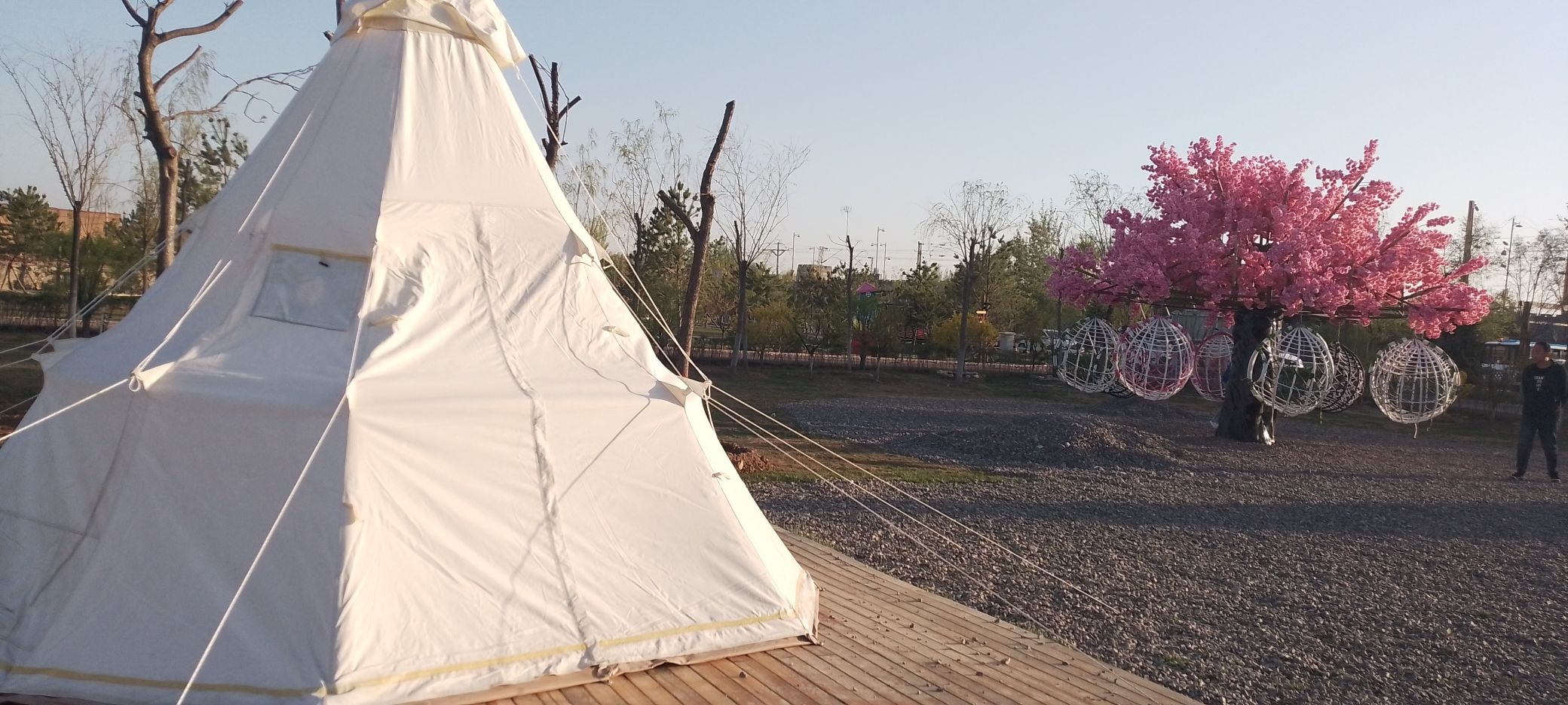 郑兴公园旅行图片 1