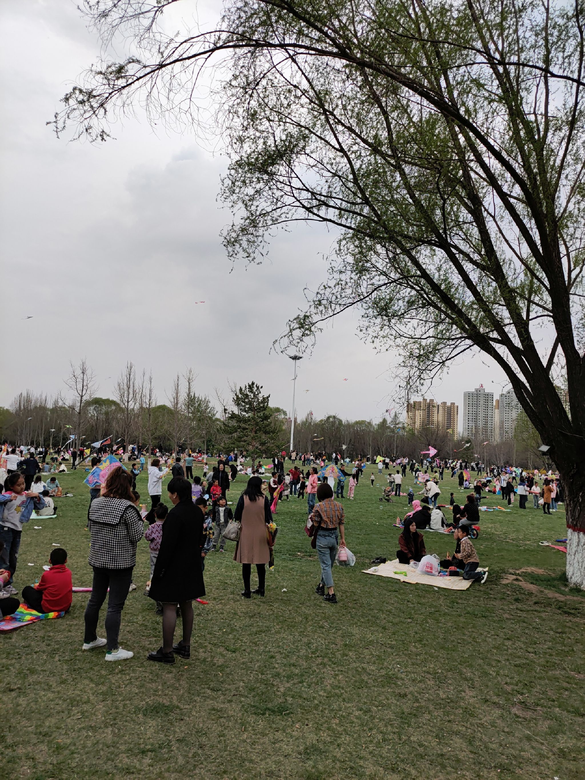 胜溪湖森林公园旅行图片 1