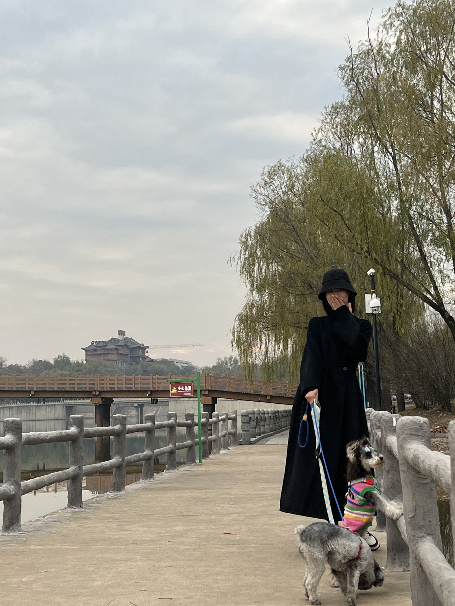 胜溪湖森林公园旅行图片 1