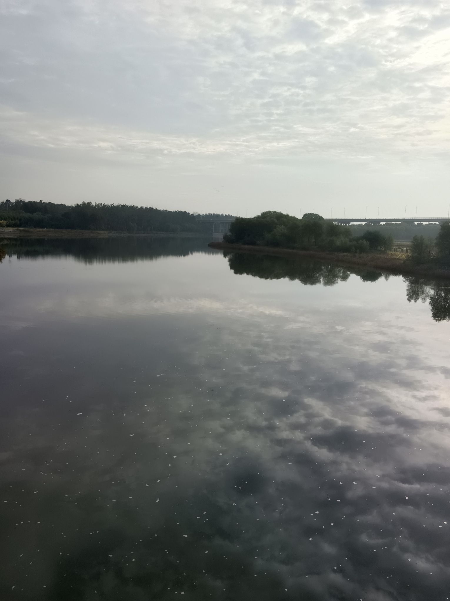 胜溪湖森林公园旅行图片 3