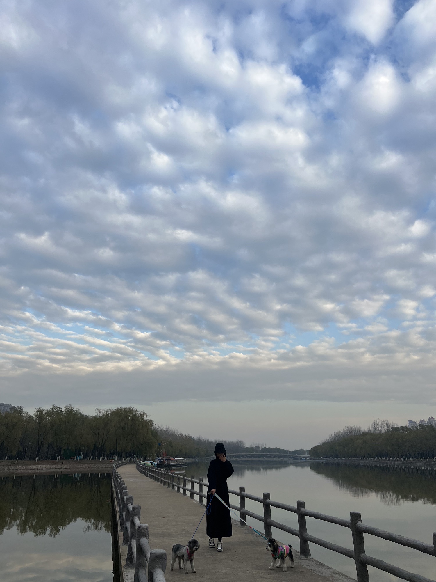 胜溪湖森林公园旅行图片 3