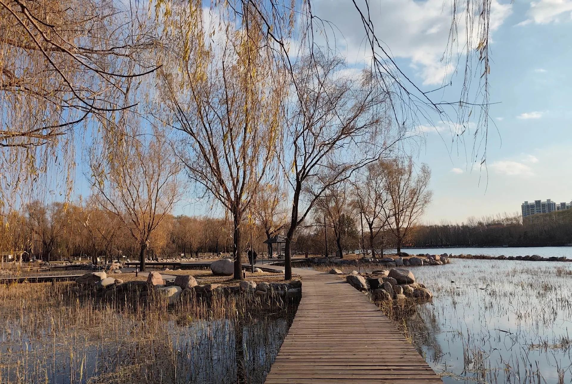 胜溪湖森林公园