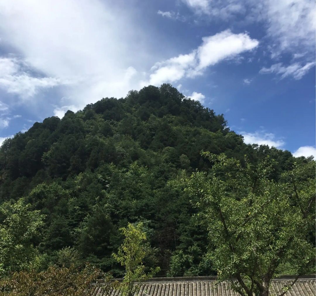 凤山公园旅行图片 3