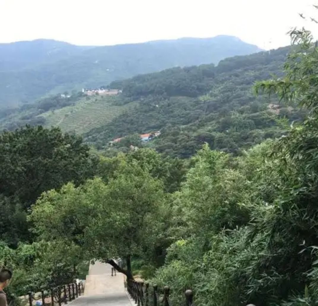 凤山公园旅行图片 2