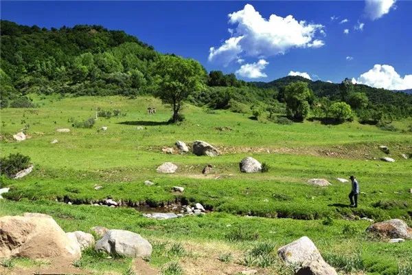 山西庞泉沟国家级自然保护区旅行图片 3
