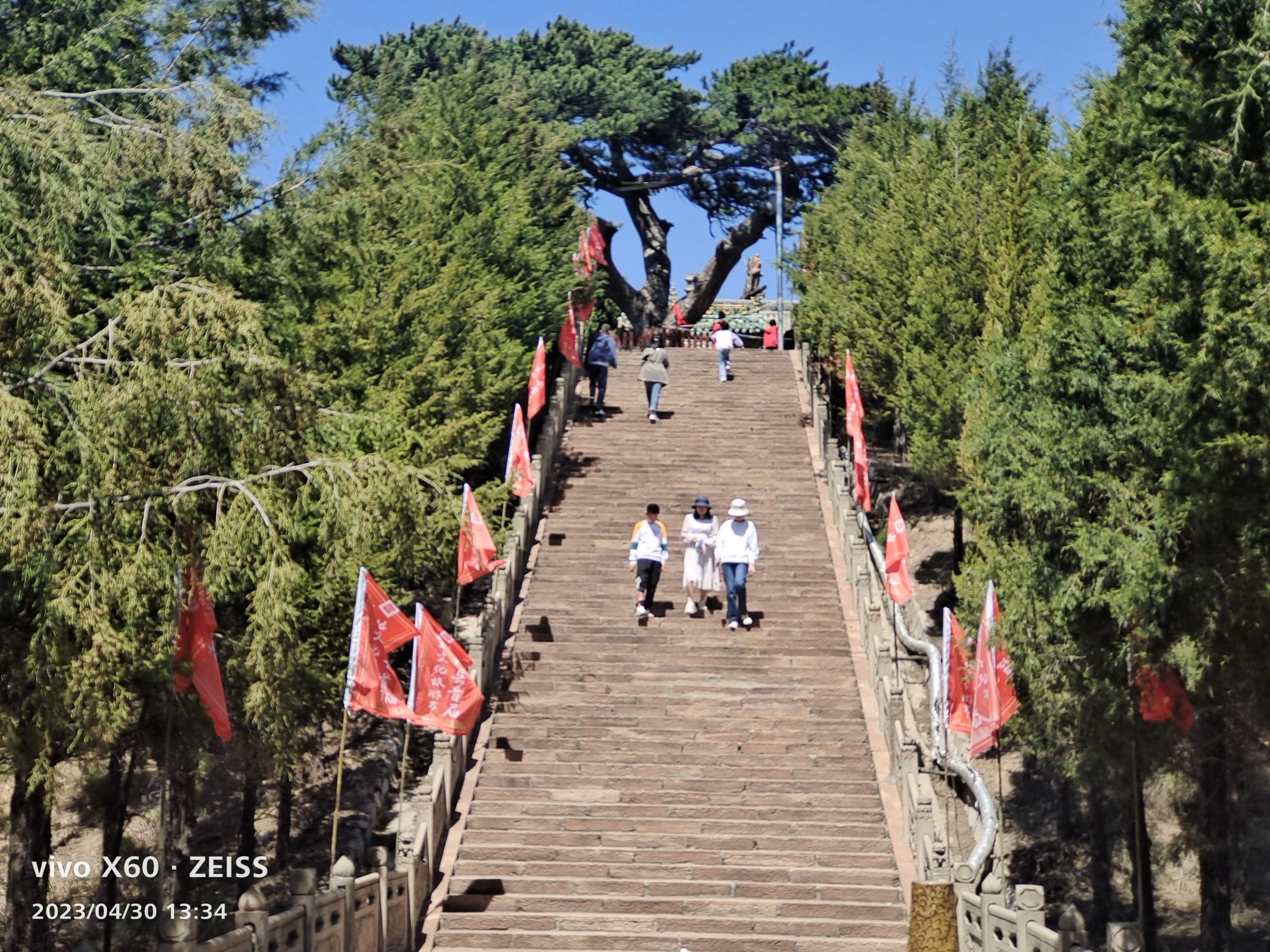 柏洼山风景区旅行图片 1