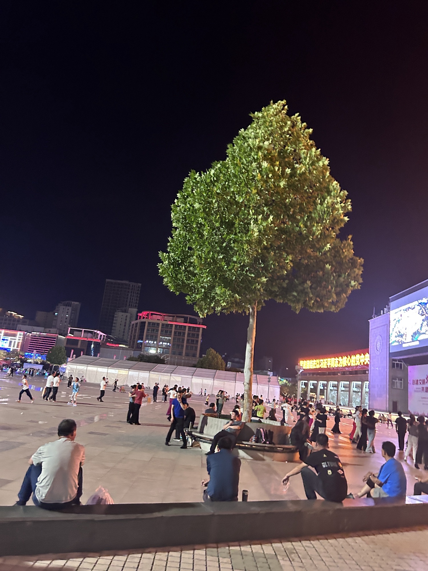 南风广场旅行图片 2