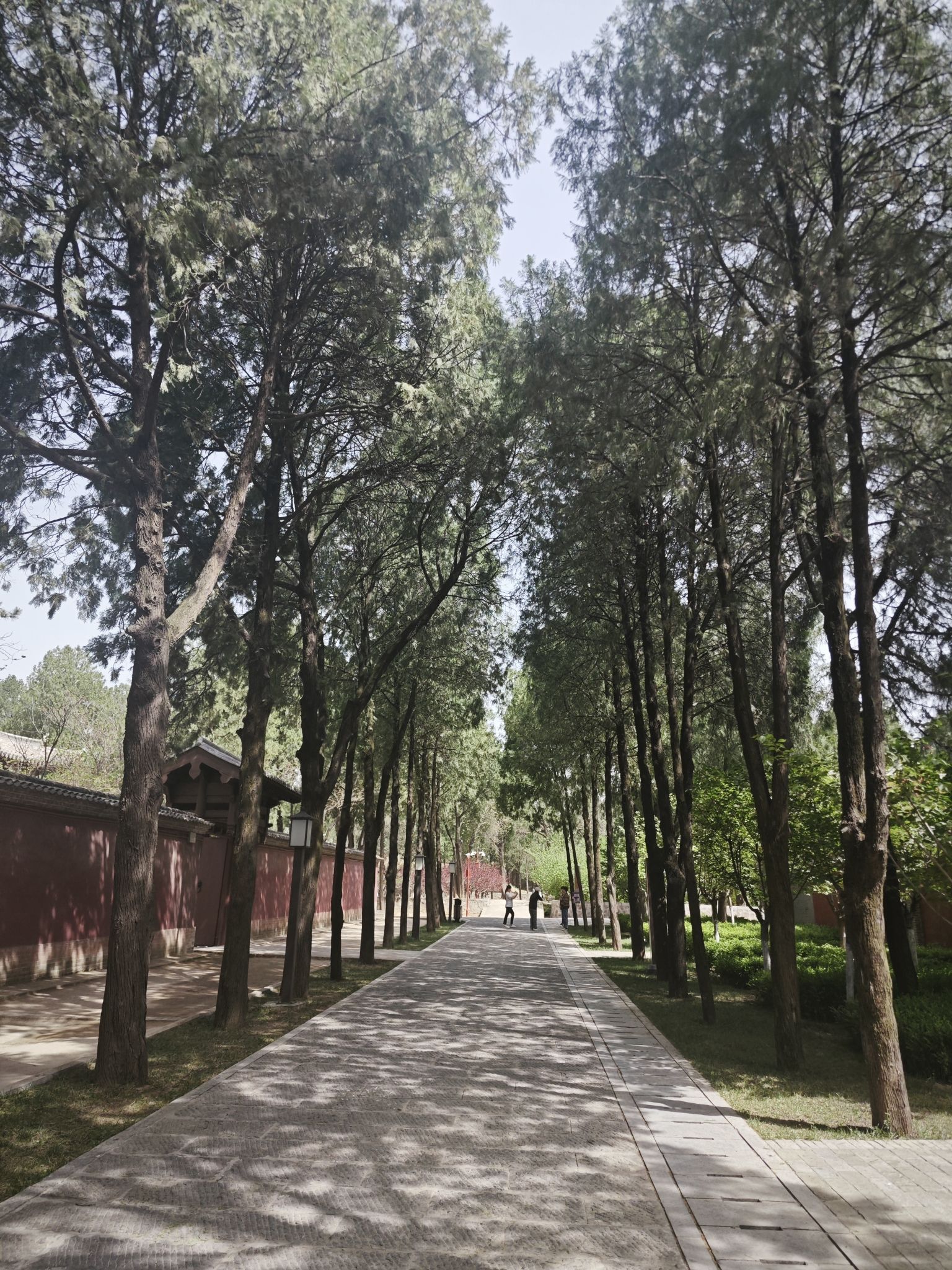 永乐宫旅行图片 3