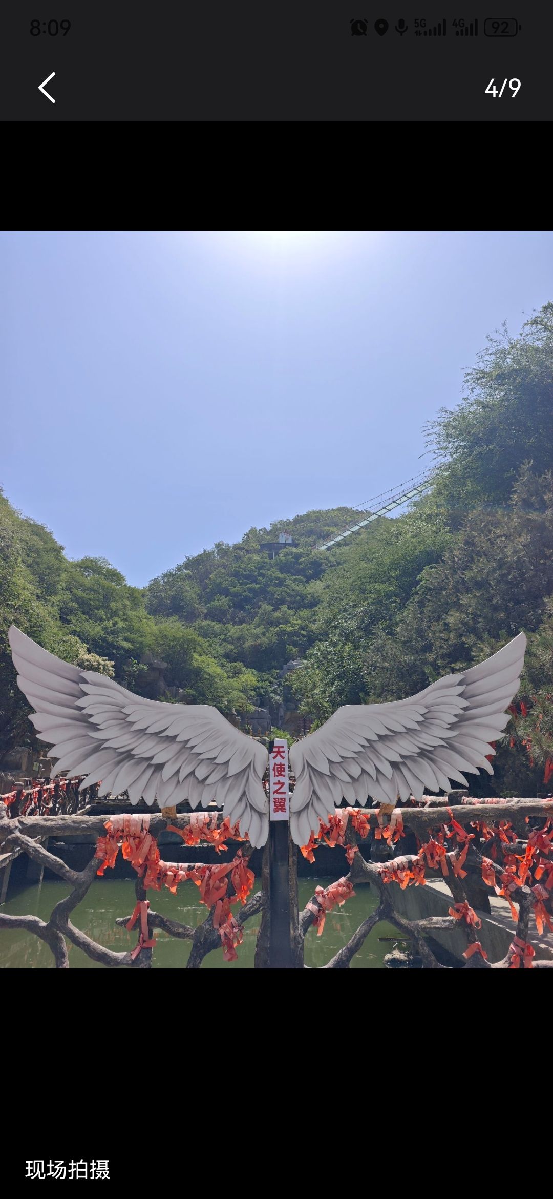 凤凰谷森林公园旅行图片 2