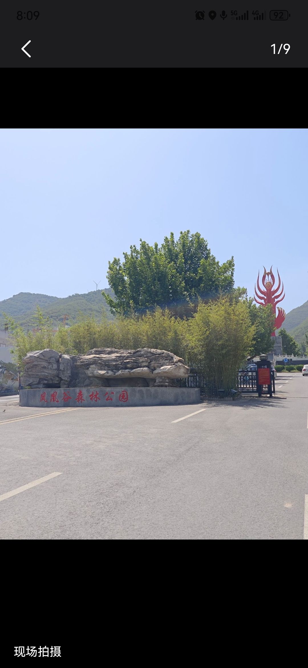 凤凰谷森林公园旅行图片 1