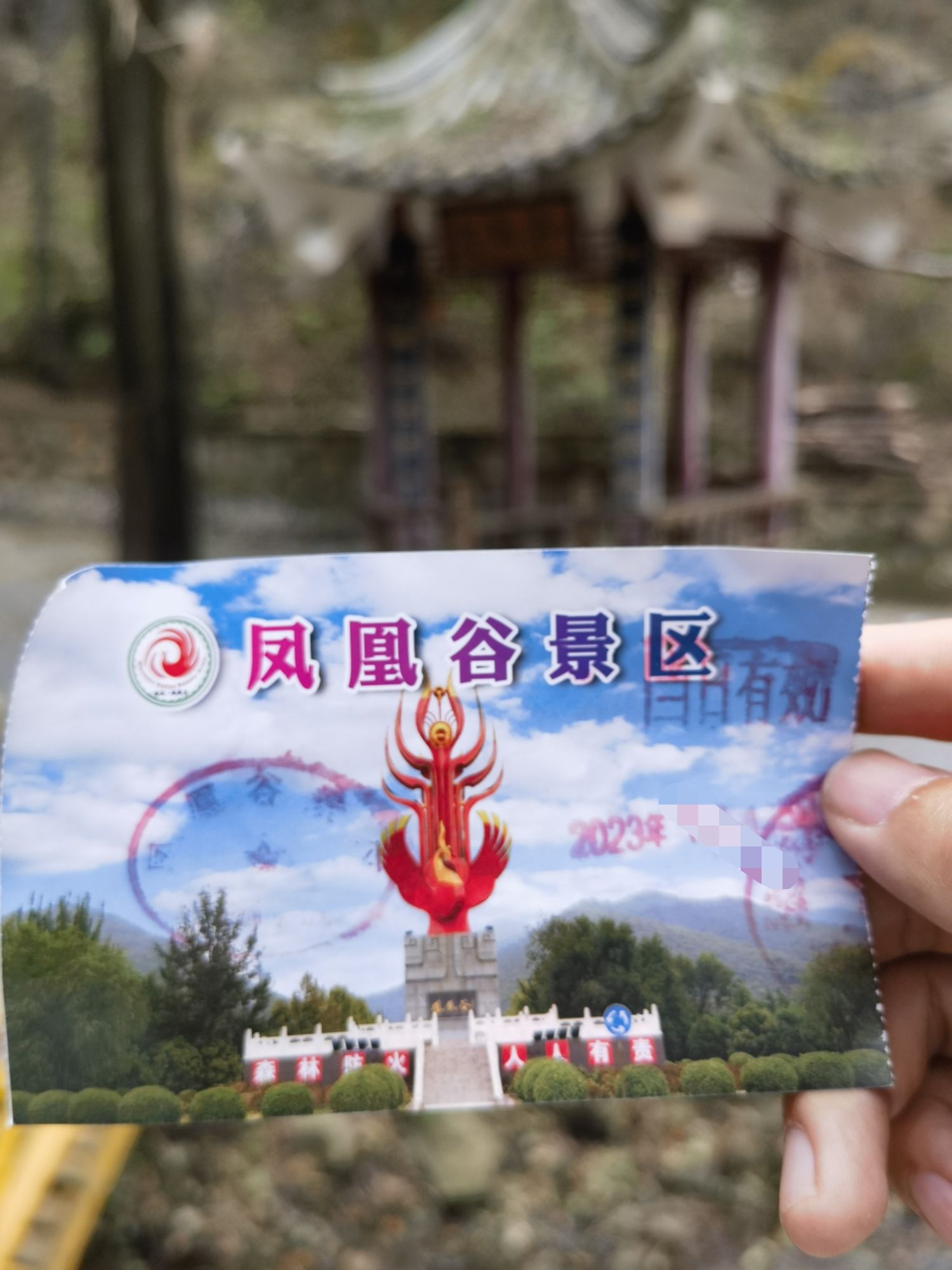 凤凰谷森林公园