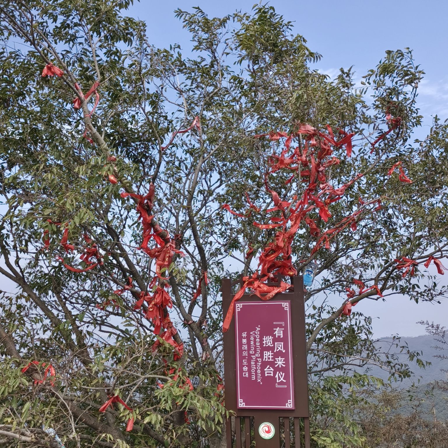 凤凰谷森林公园旅行图片 1