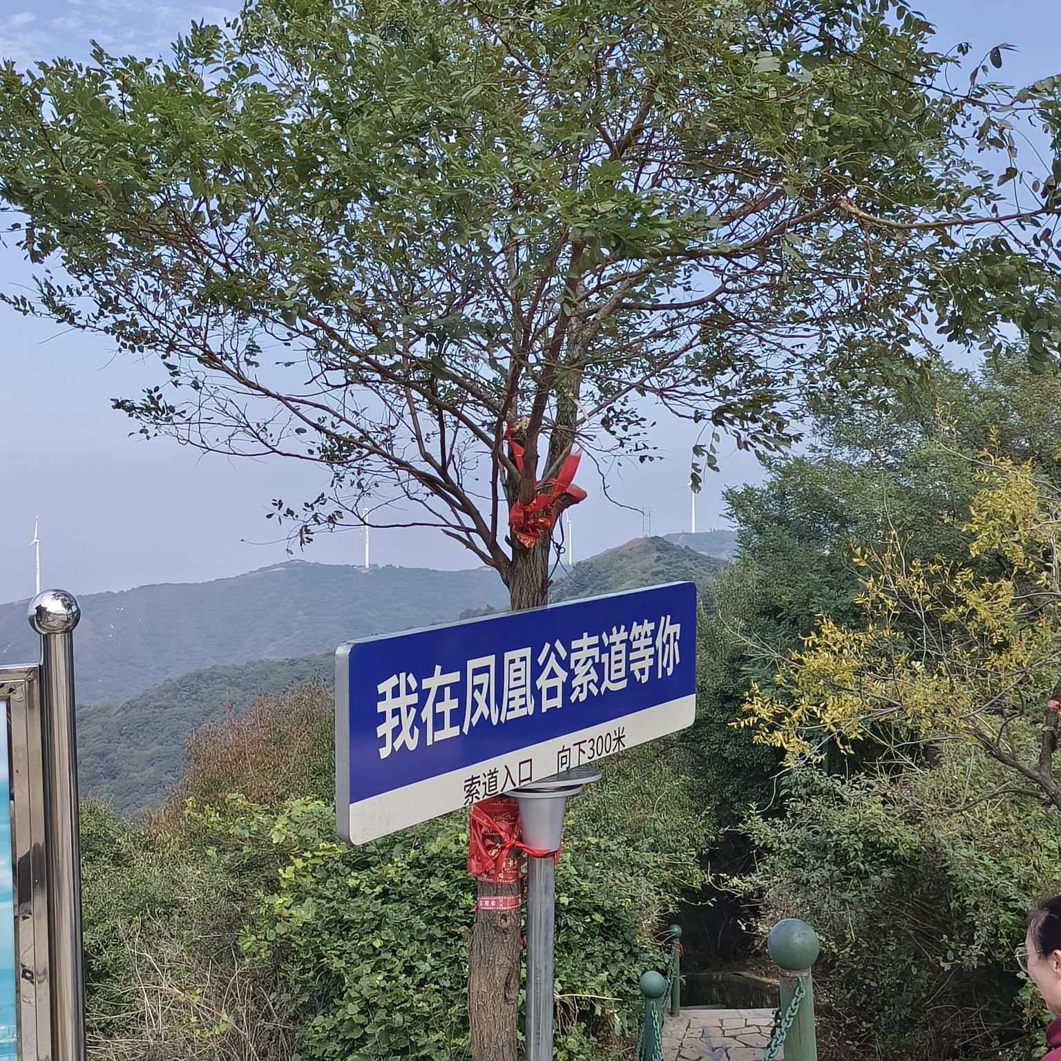 凤凰谷森林公园旅行图片 2
