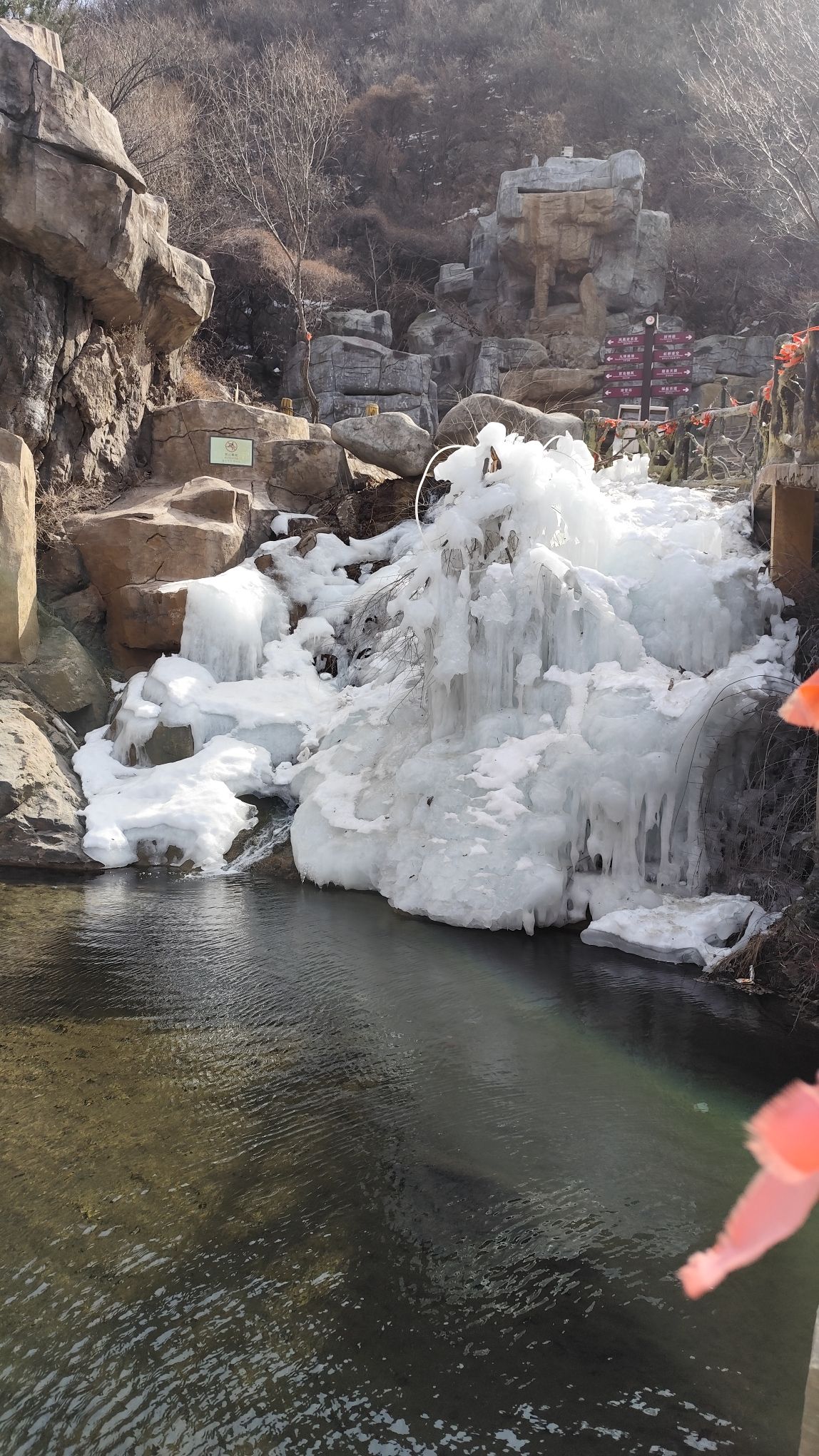 凤凰谷森林公园旅行图片 1