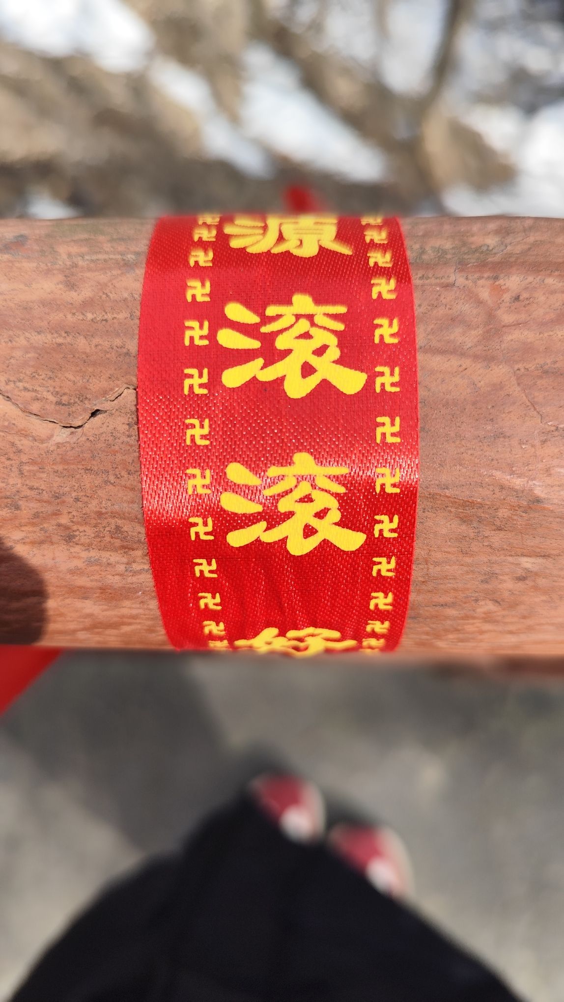 凤凰谷森林公园旅行图片 3