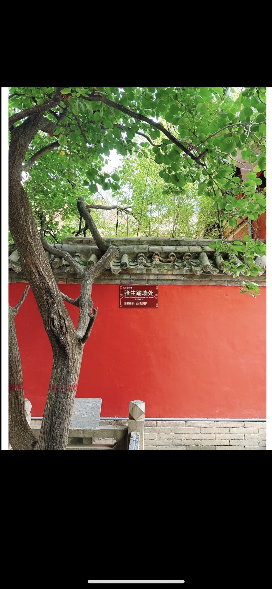王官谷风景区旅行图片 2