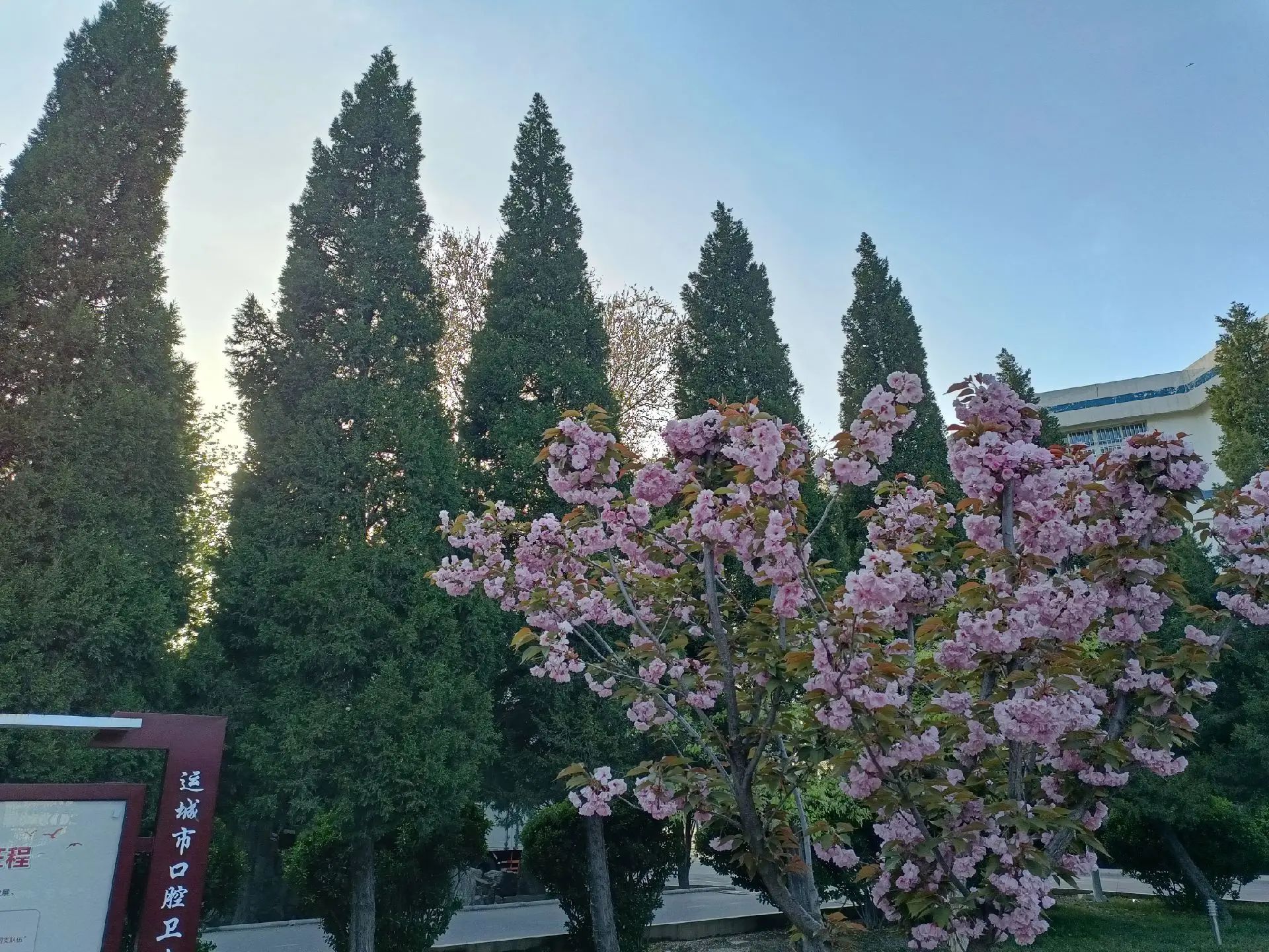 运城市口腔卫生学校