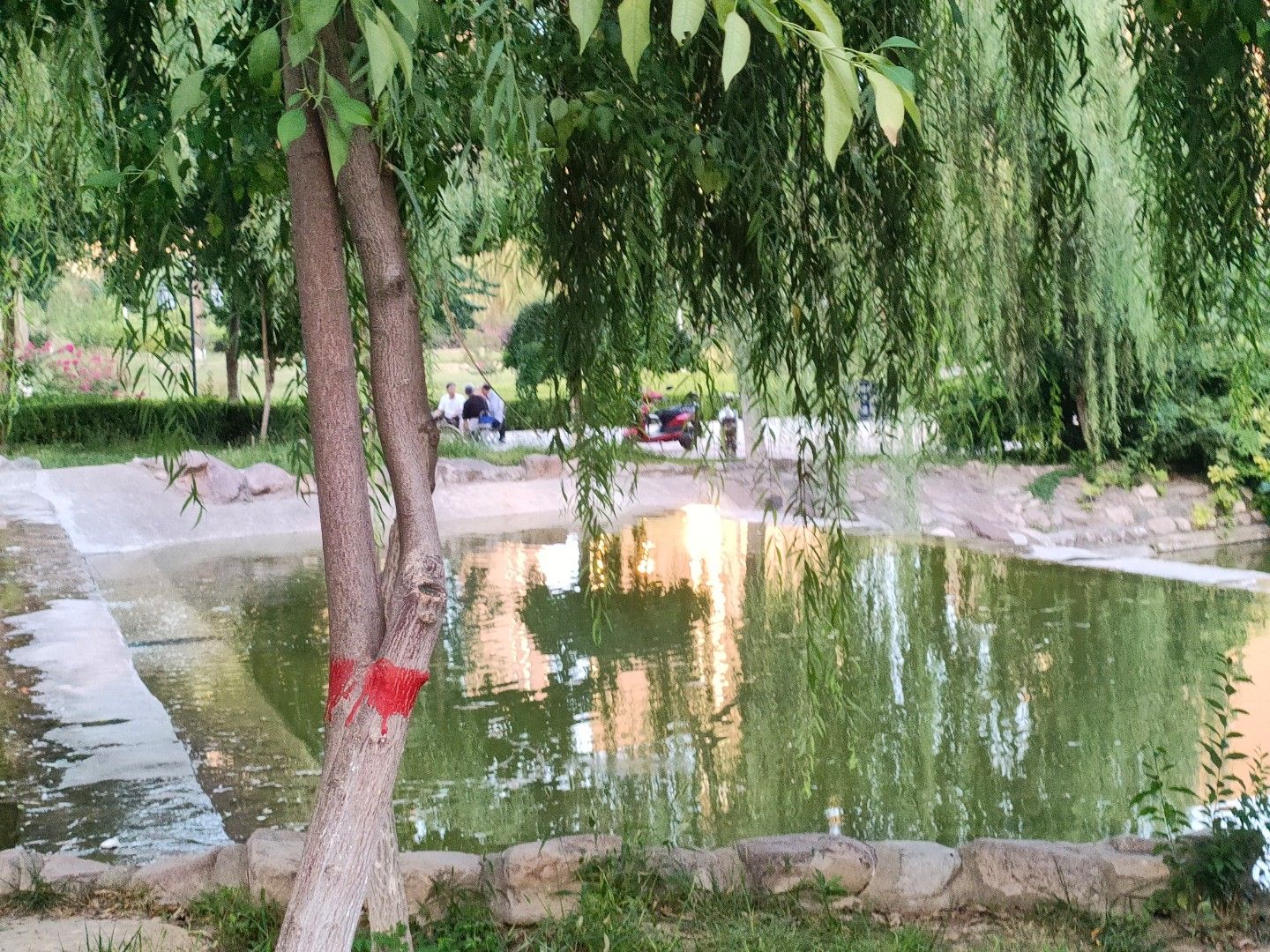 寿圣寺舍利塔旅行图片 1