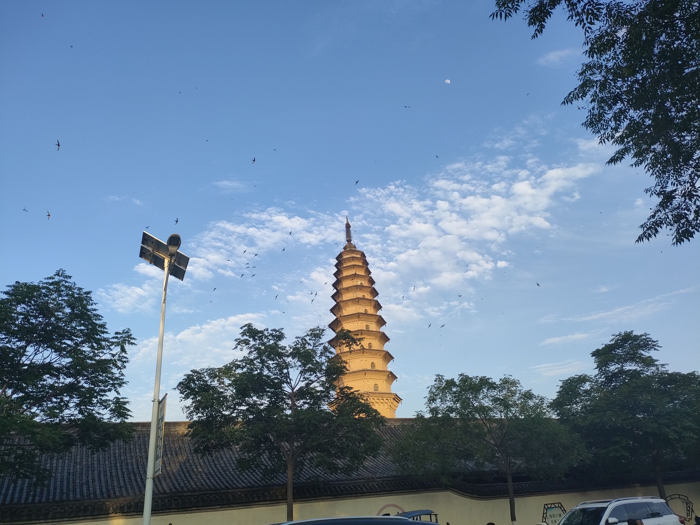 寿圣寺舍利塔旅行图片 3