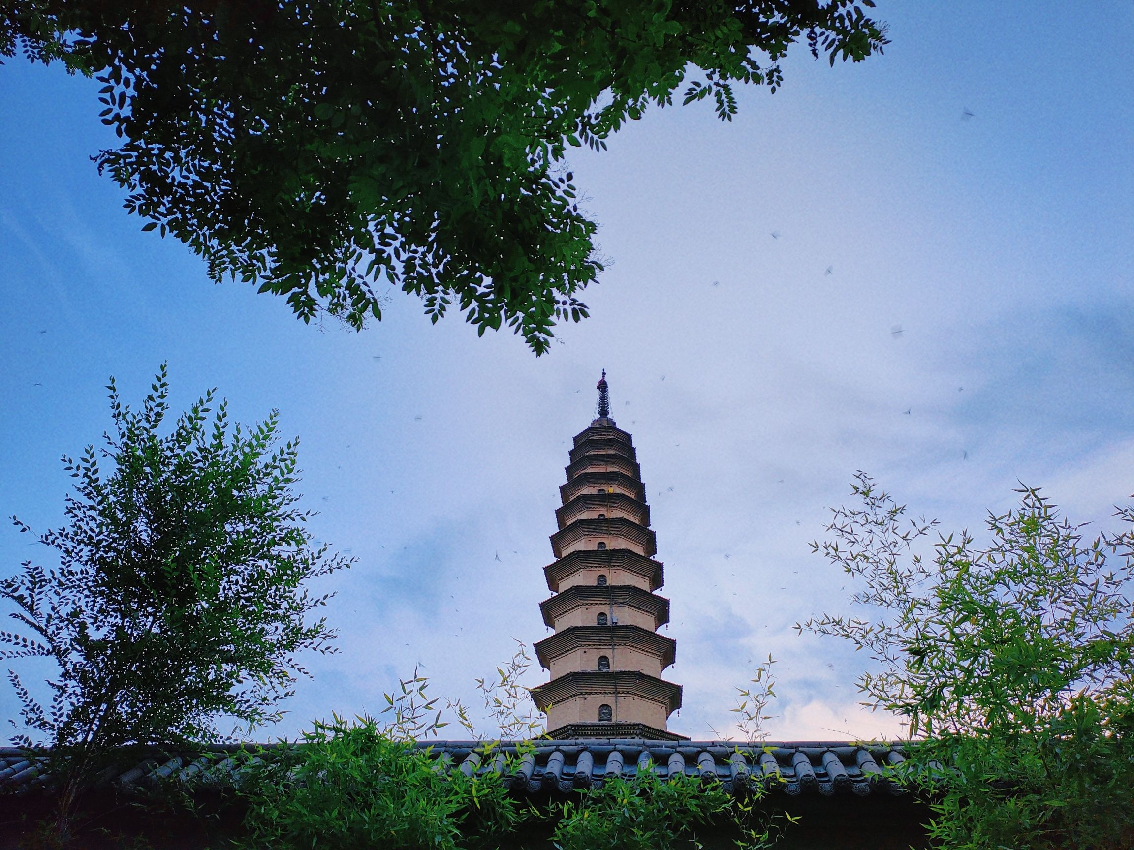 寿圣寺舍利塔旅行图片 1