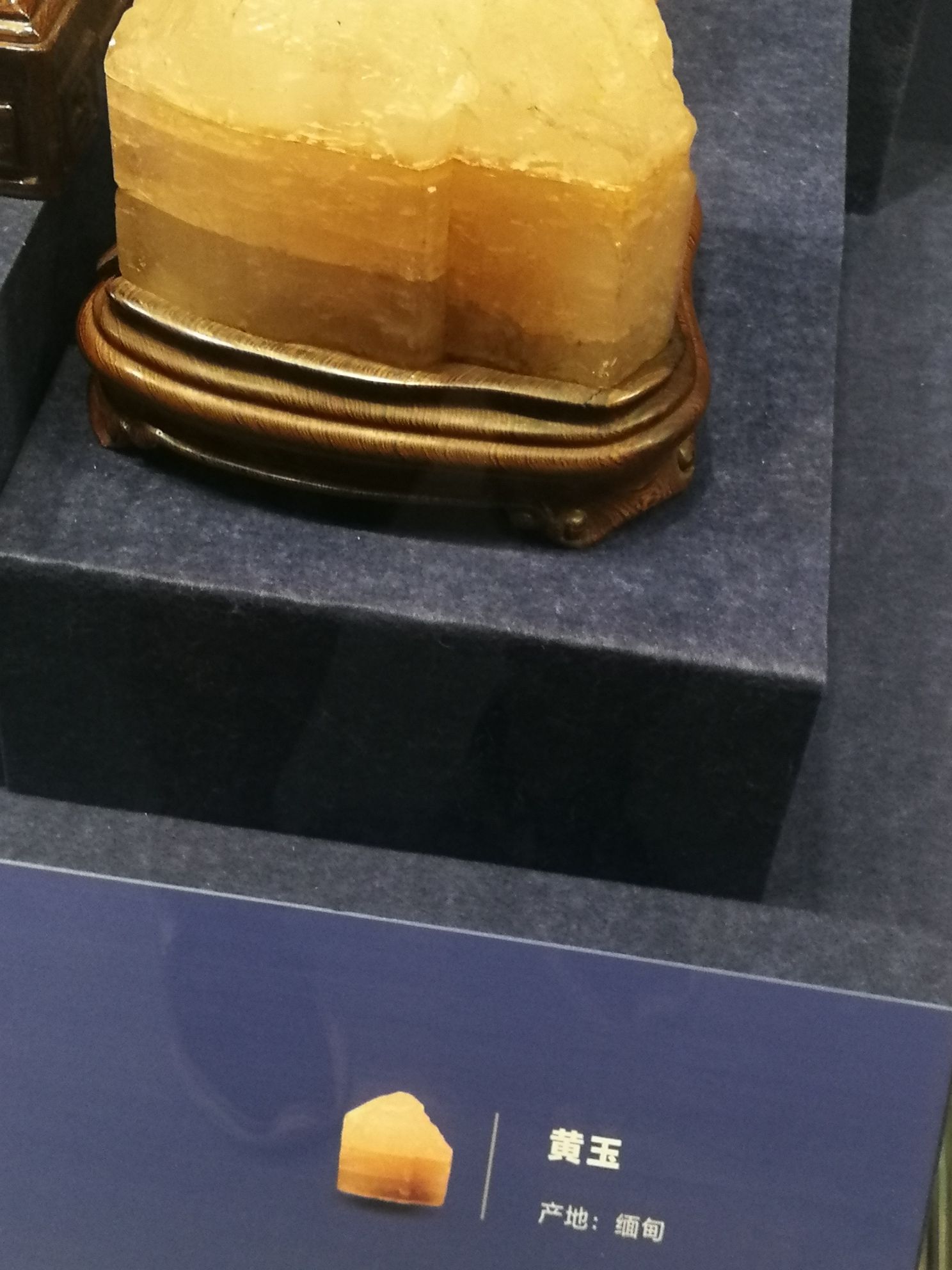 运城市园林局植物园旅行图片 1
