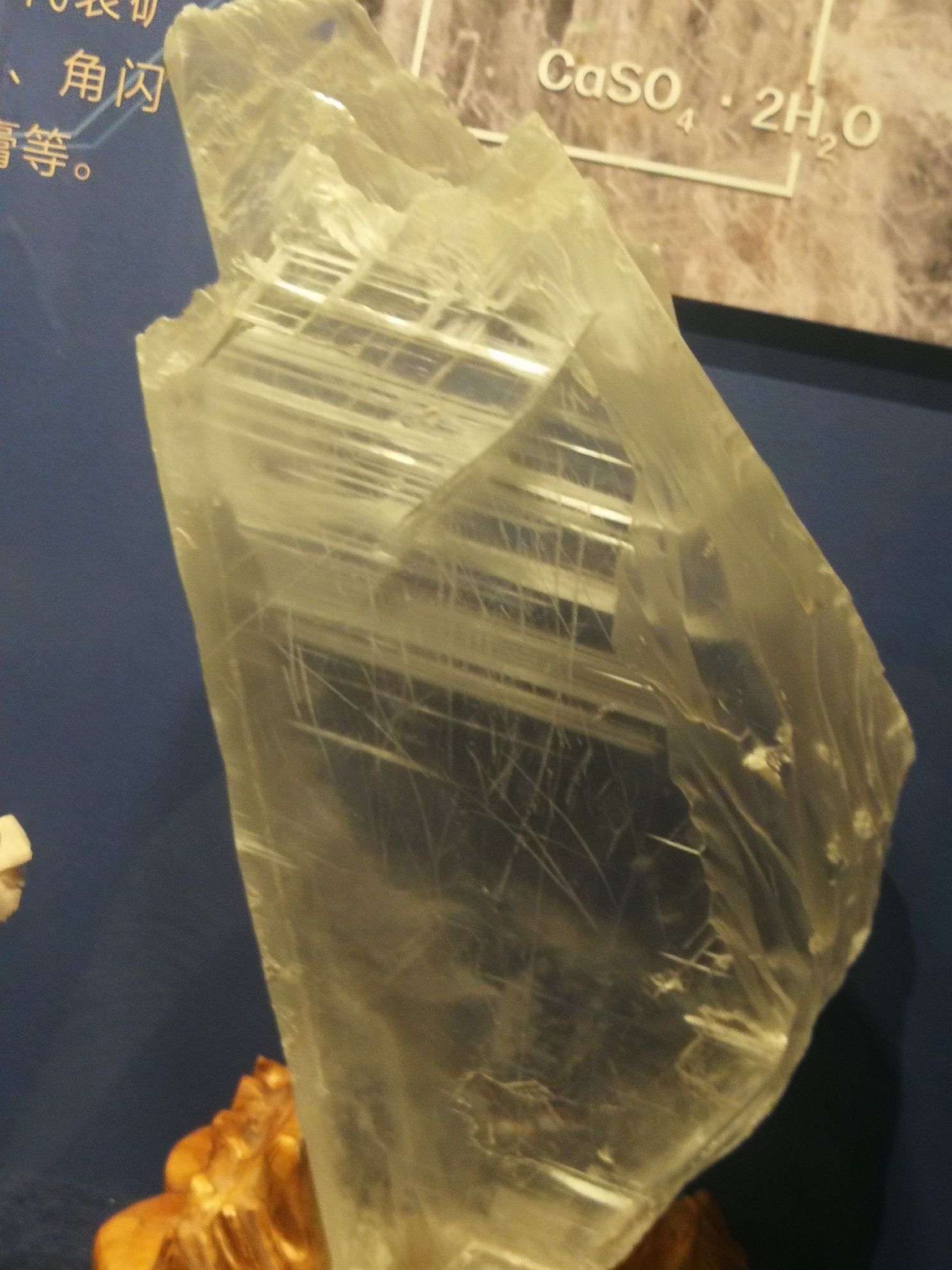 运城市园林局植物园旅行图片 2