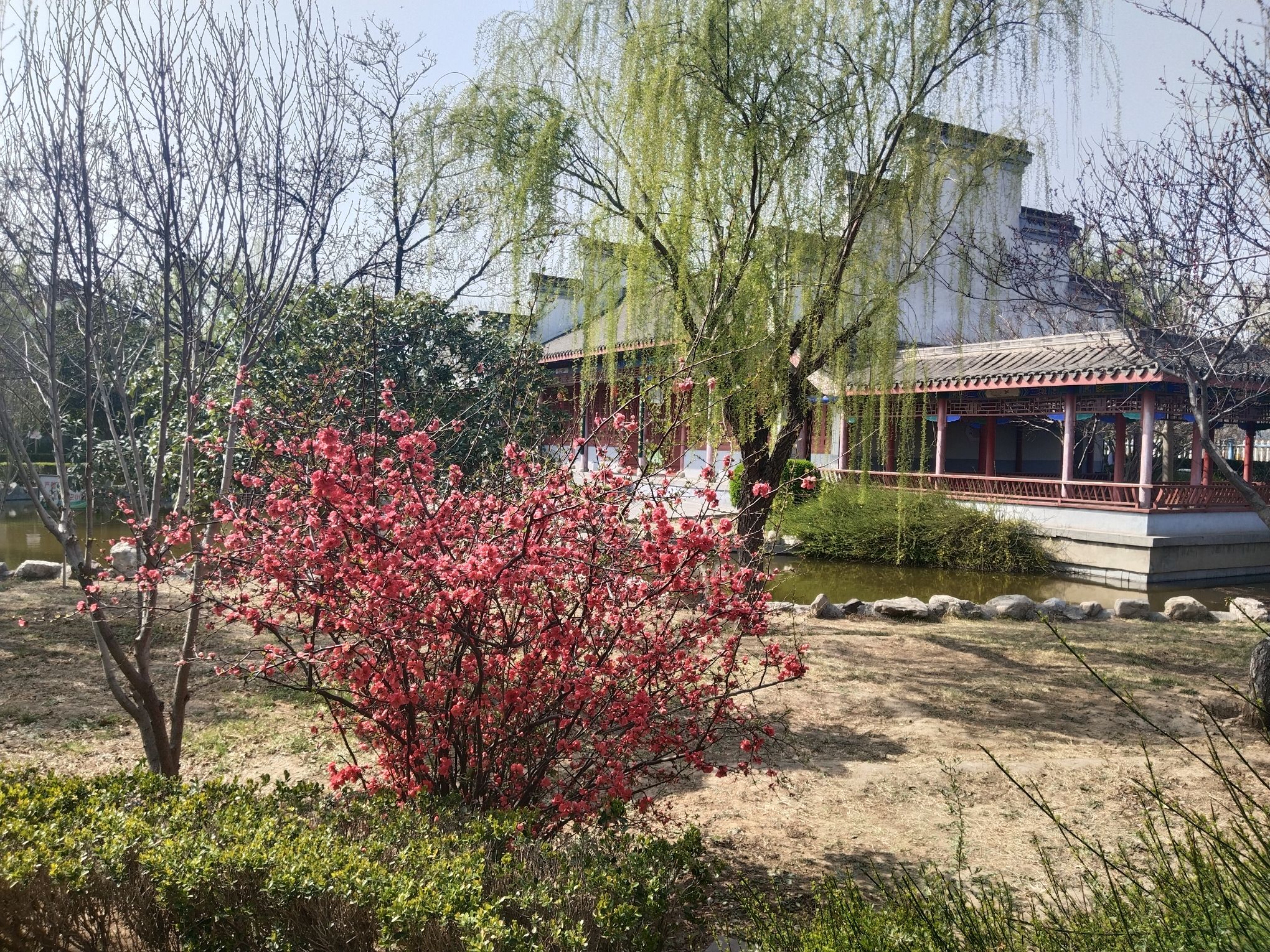 九龙公园旅行图片 3