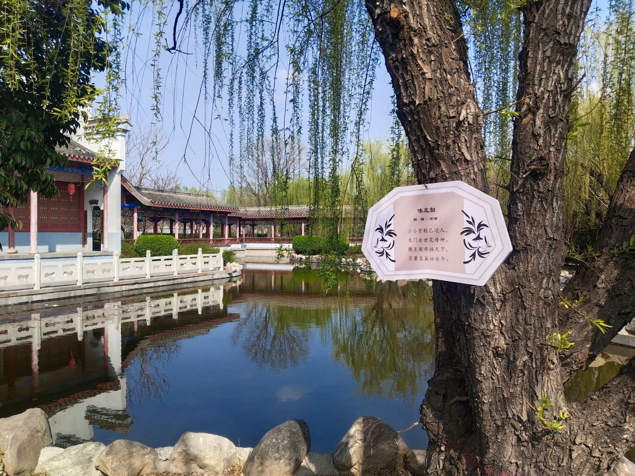 九龙公园旅行图片 2
