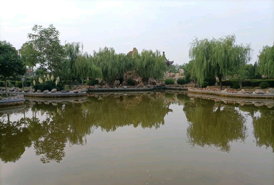 九龙公园旅行图片 3
