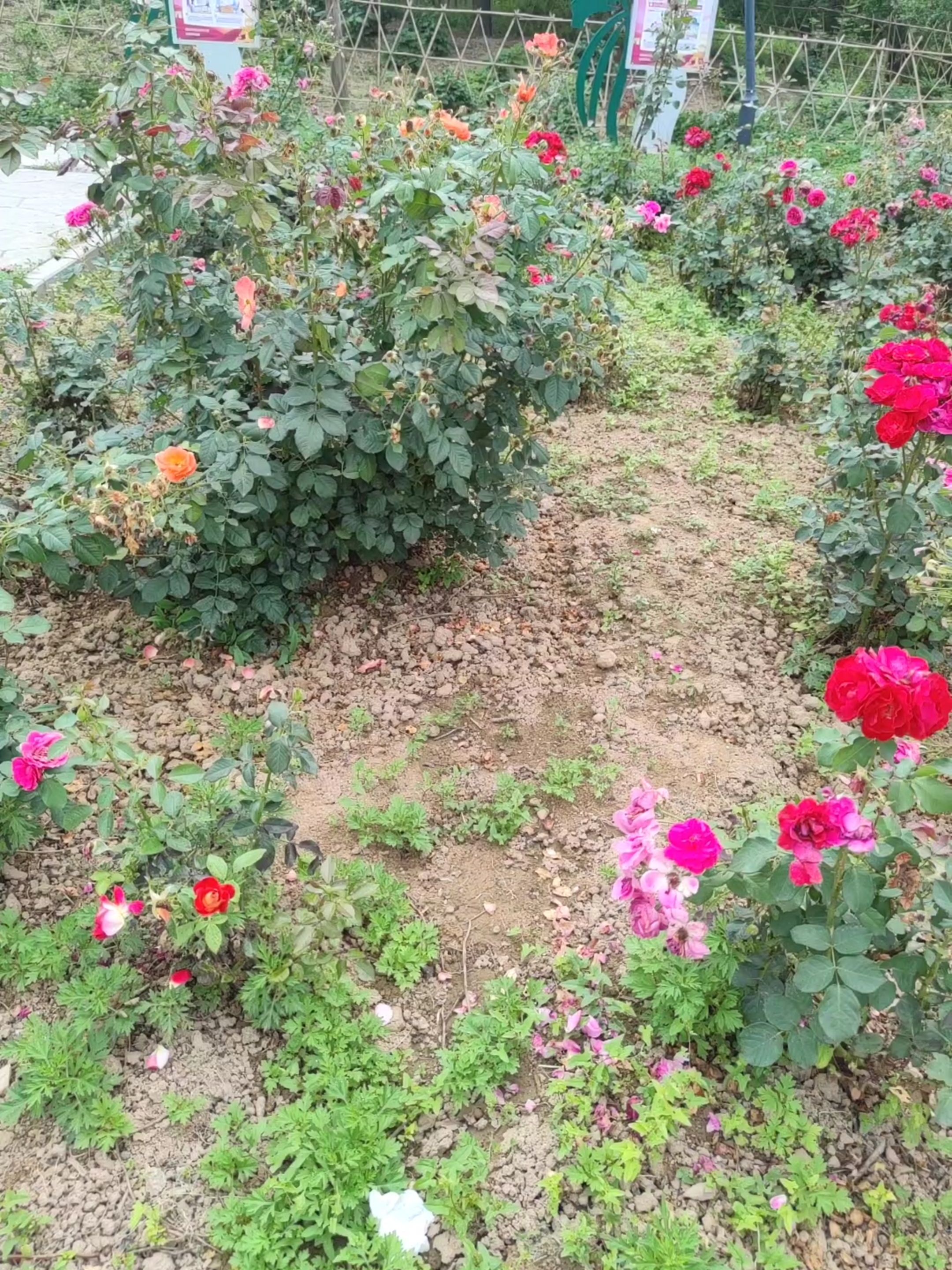 北城公园旅行图片 2