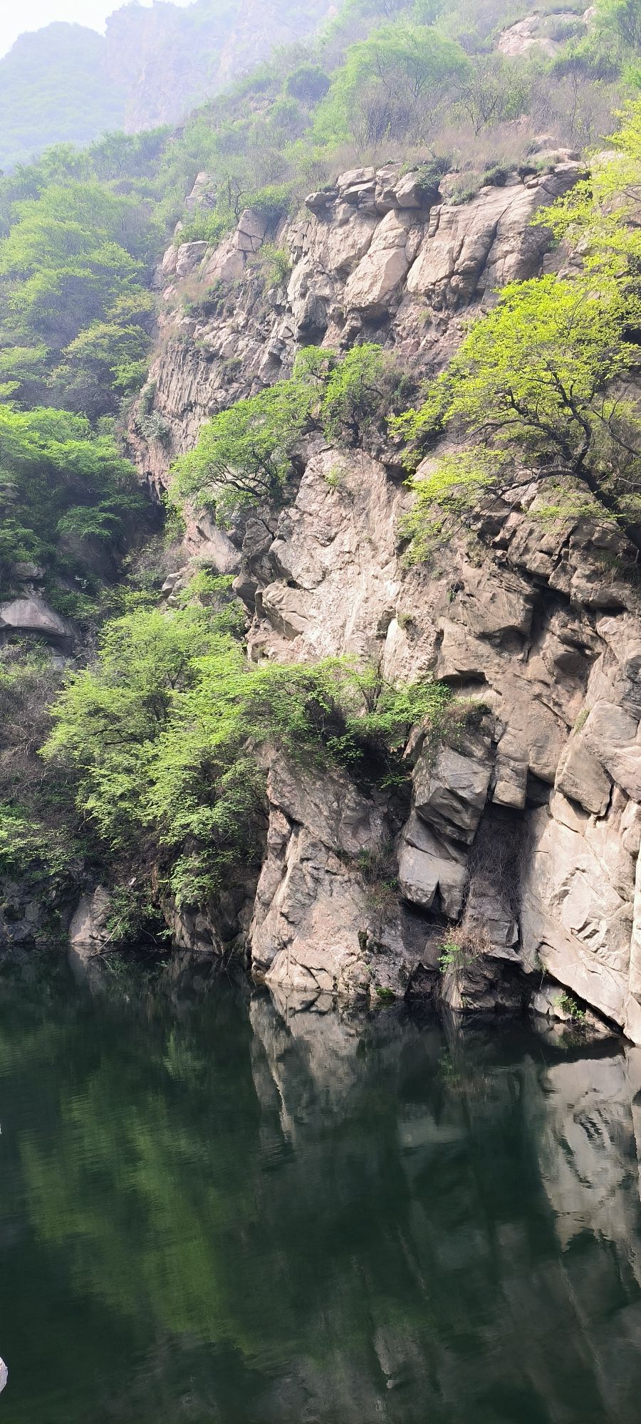 舜帝山森林公园旅行图片 2