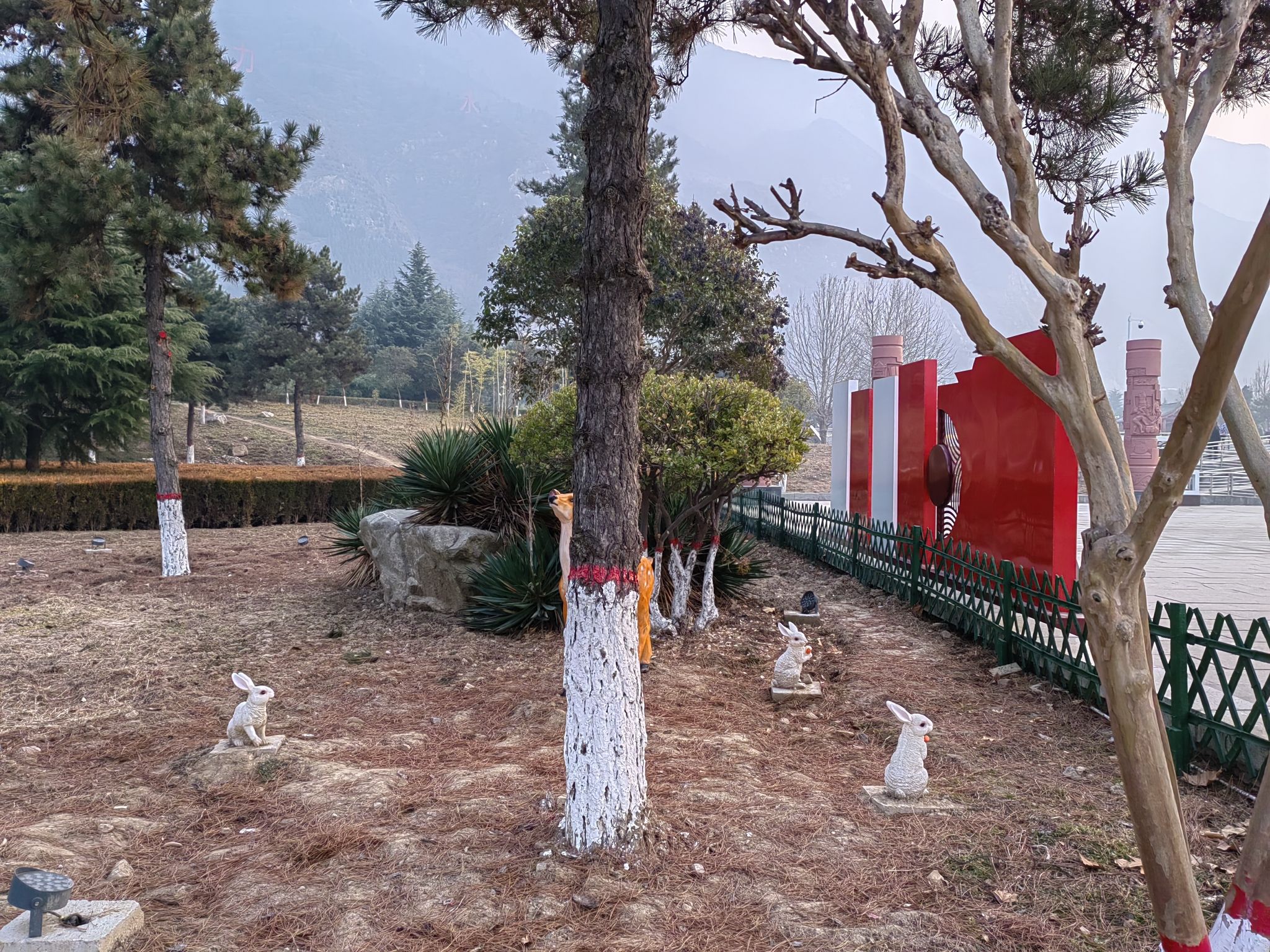 舜帝山森林公园旅行图片 3