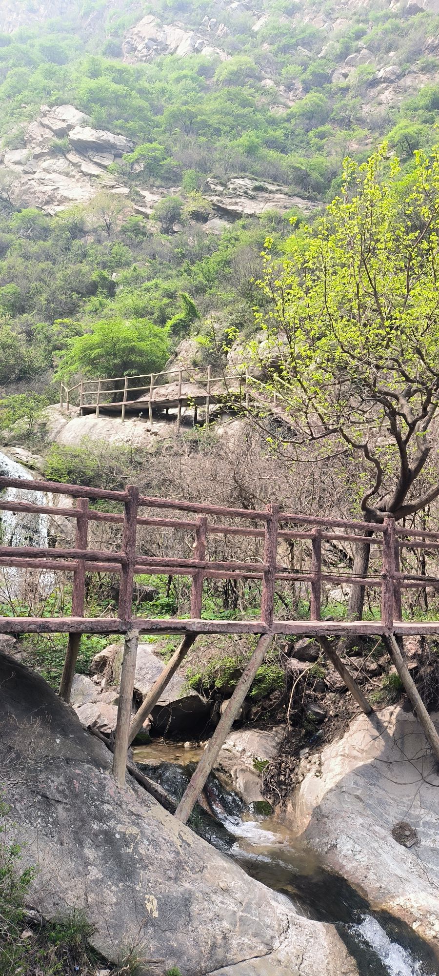 舜帝山森林公园旅行图片 3