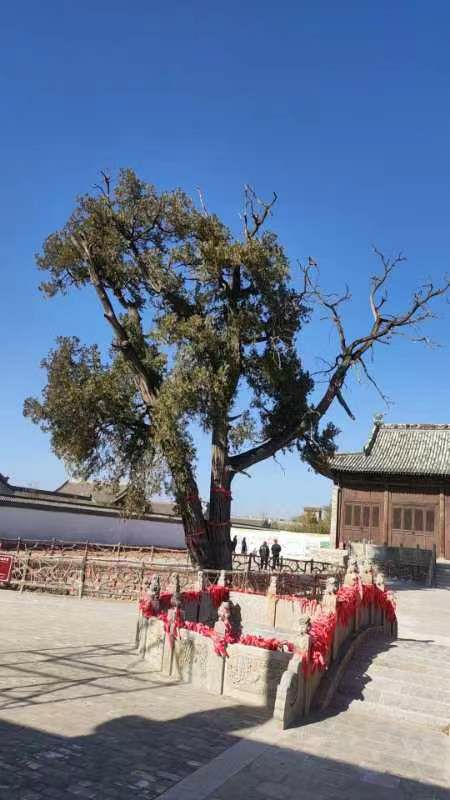 临晋县衙旅行图片 2