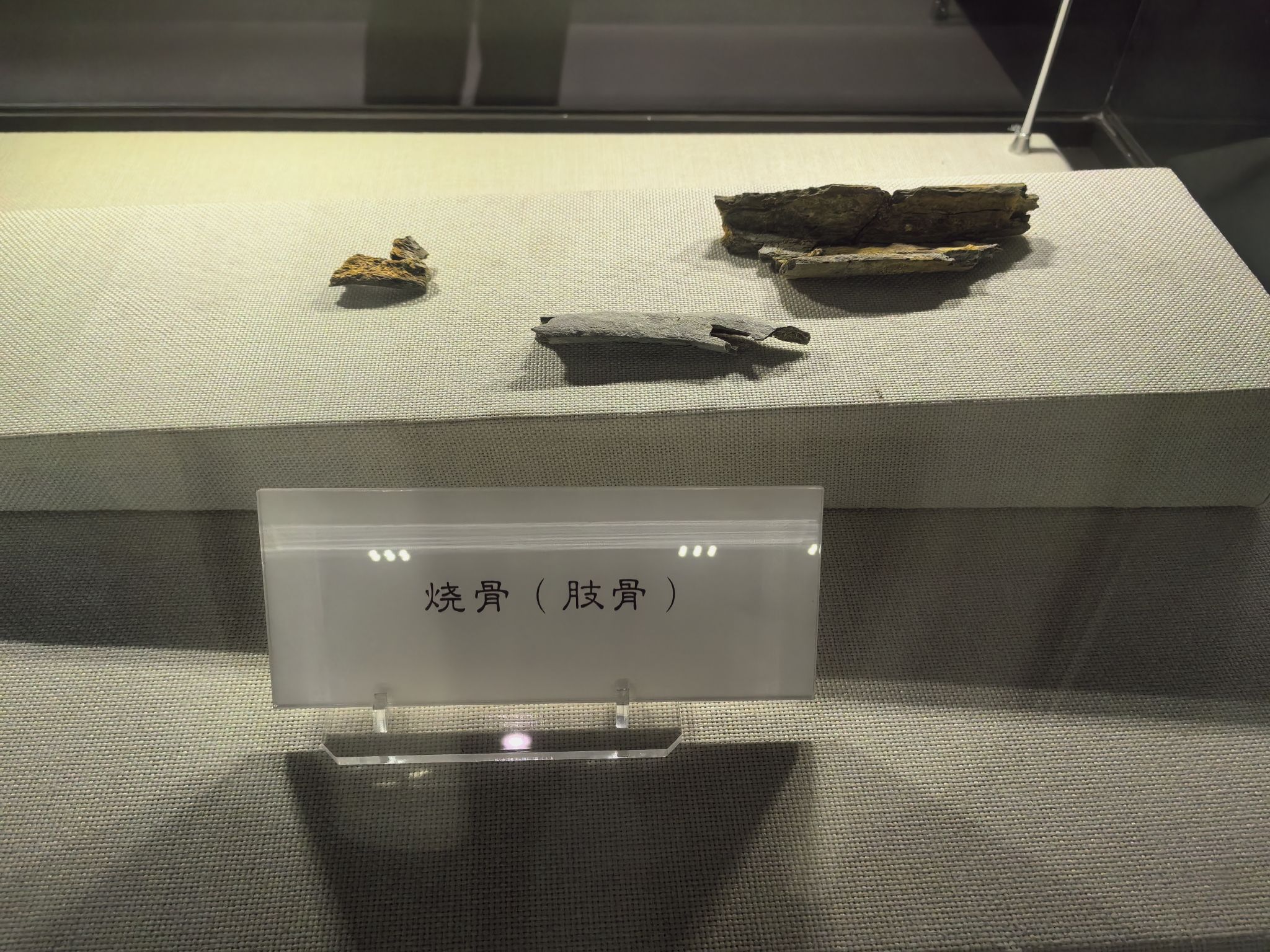 西侯度遗址旅行图片 3