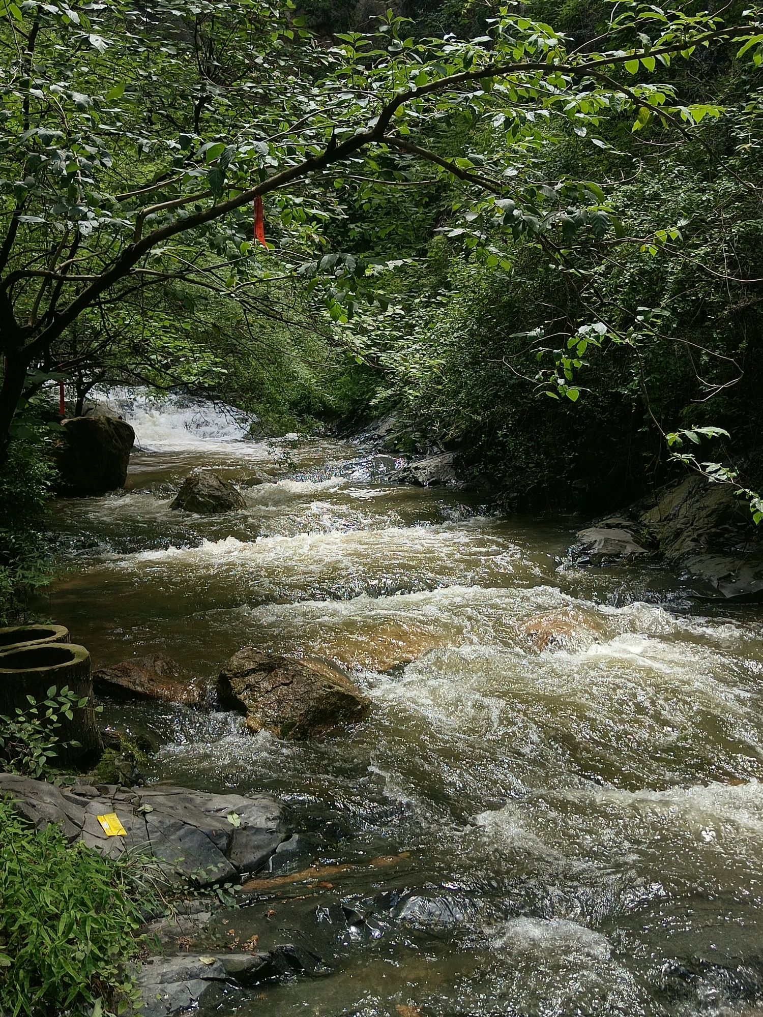 牛魔王逍遥谷旅行图片 3
