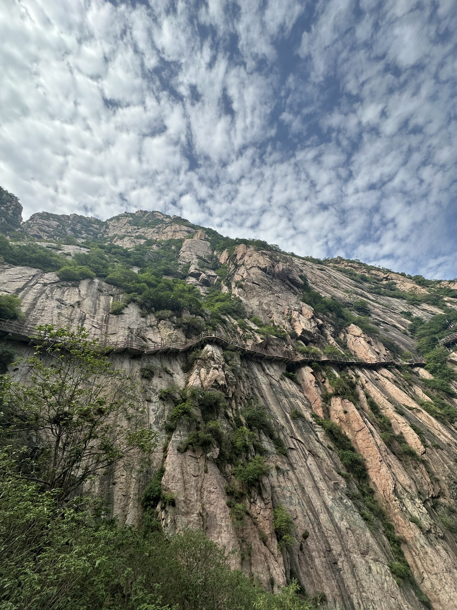 牛魔王逍遥谷旅行图片 2