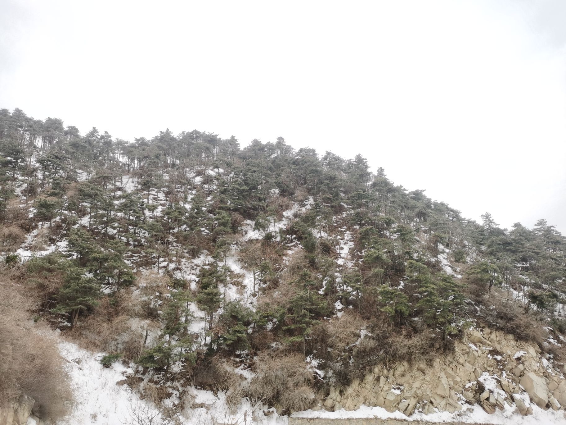 万荣县孤峰山景区旅行图片 2