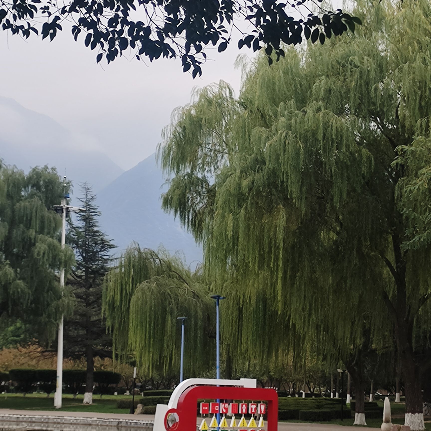 樱花园旅行图片 2
