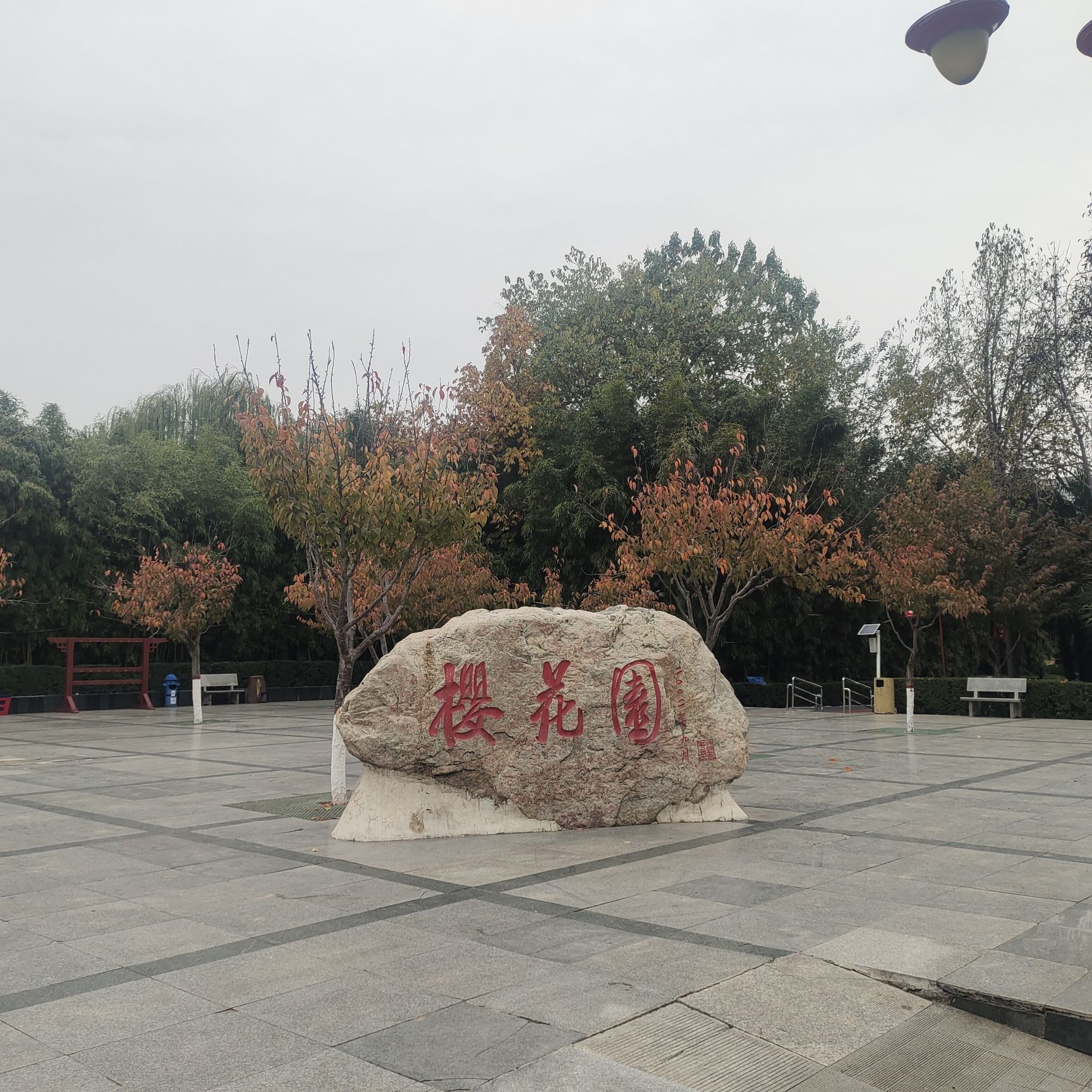 樱花园旅行图片 1