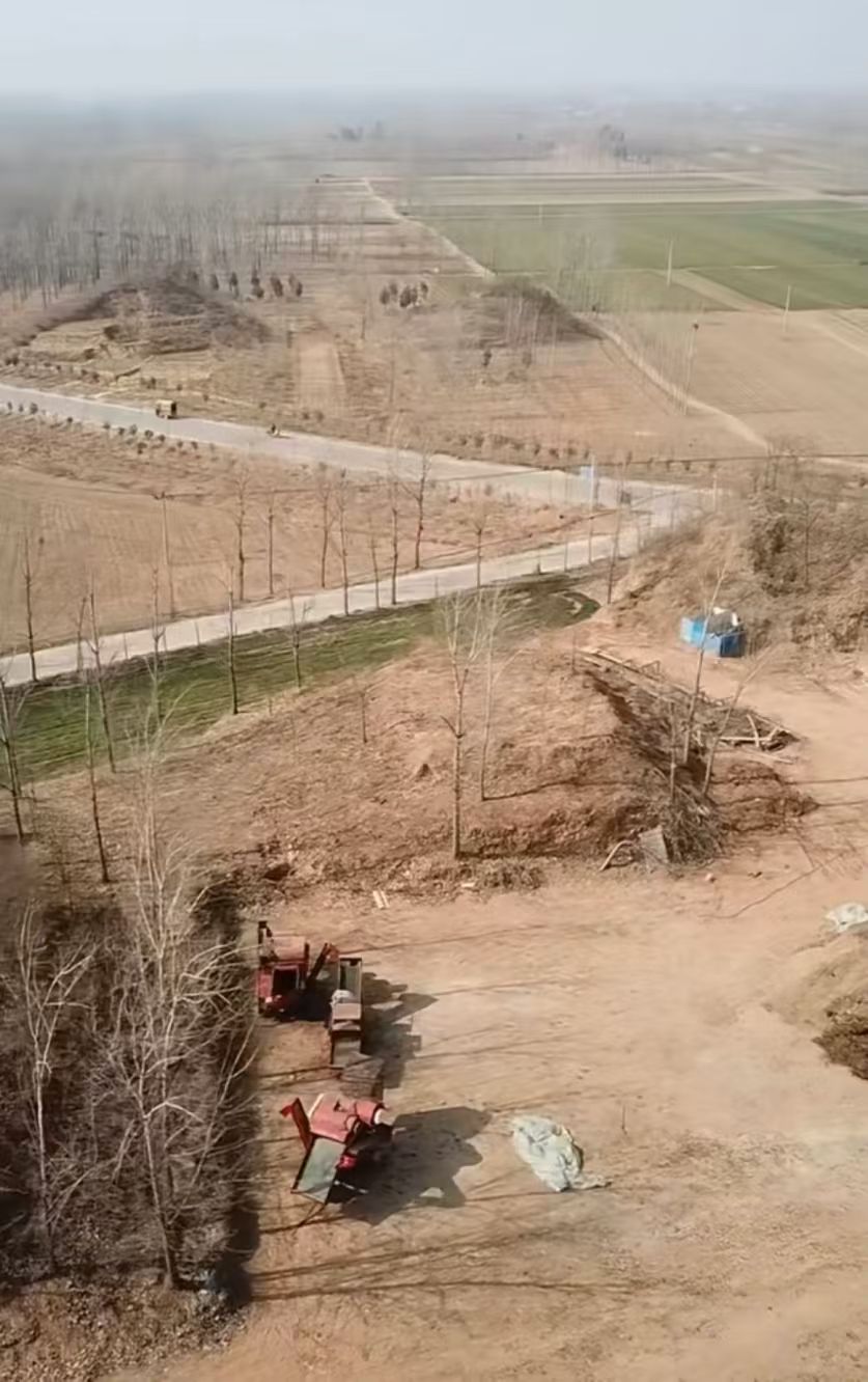 西陵汉墓群旅行图片 1