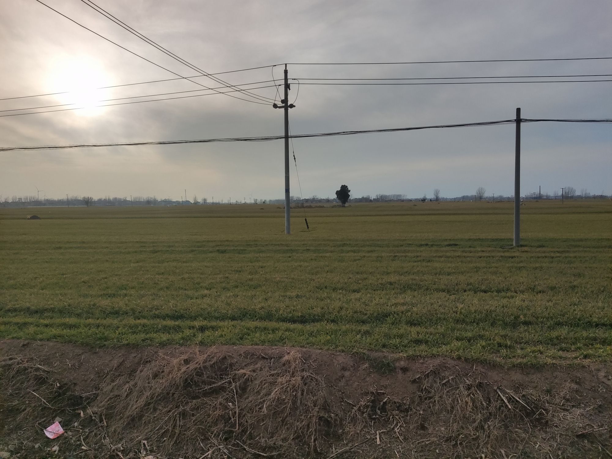西陵汉墓群旅行图片 1