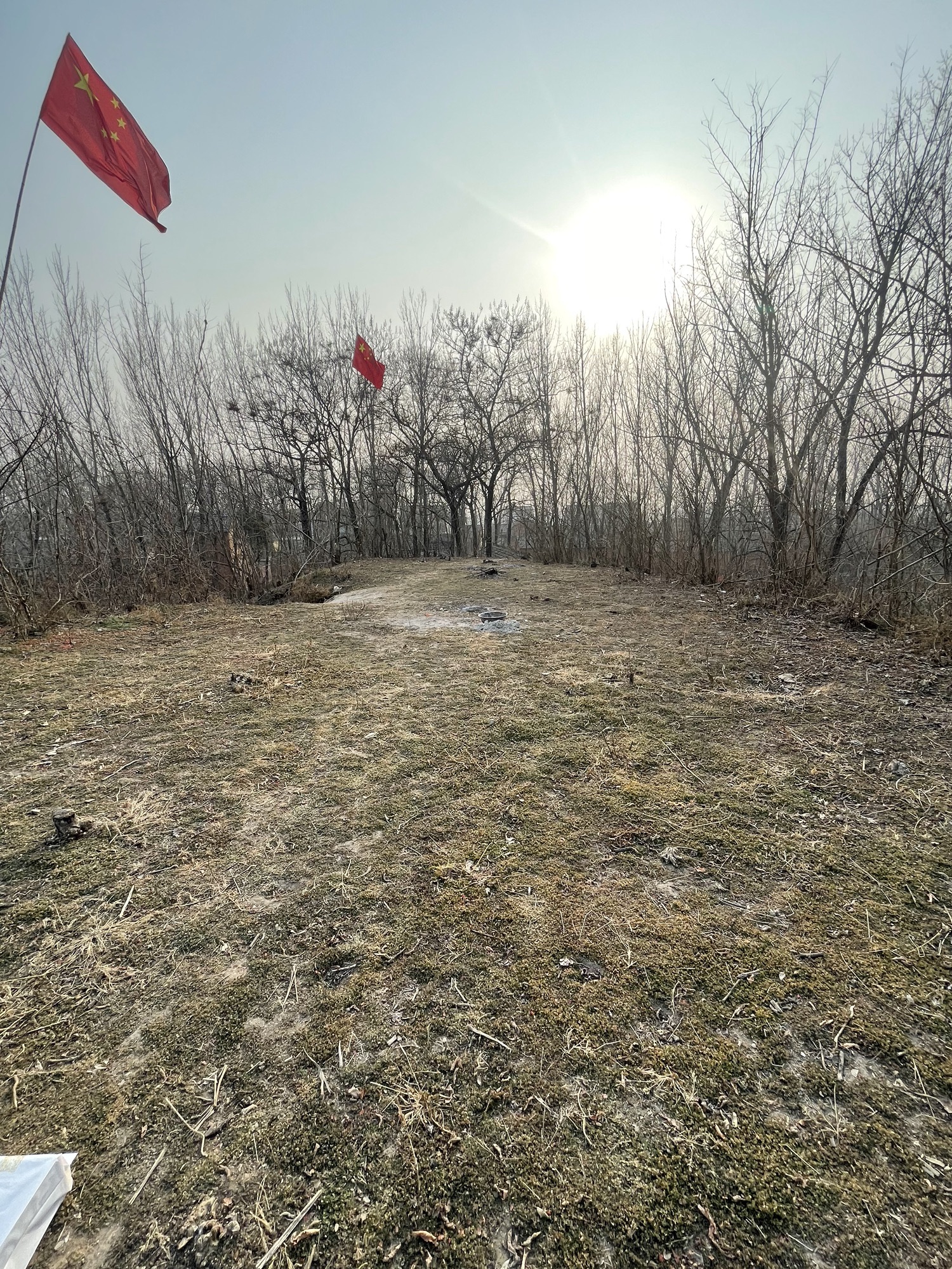 永城造律台遗址旅行图片 3